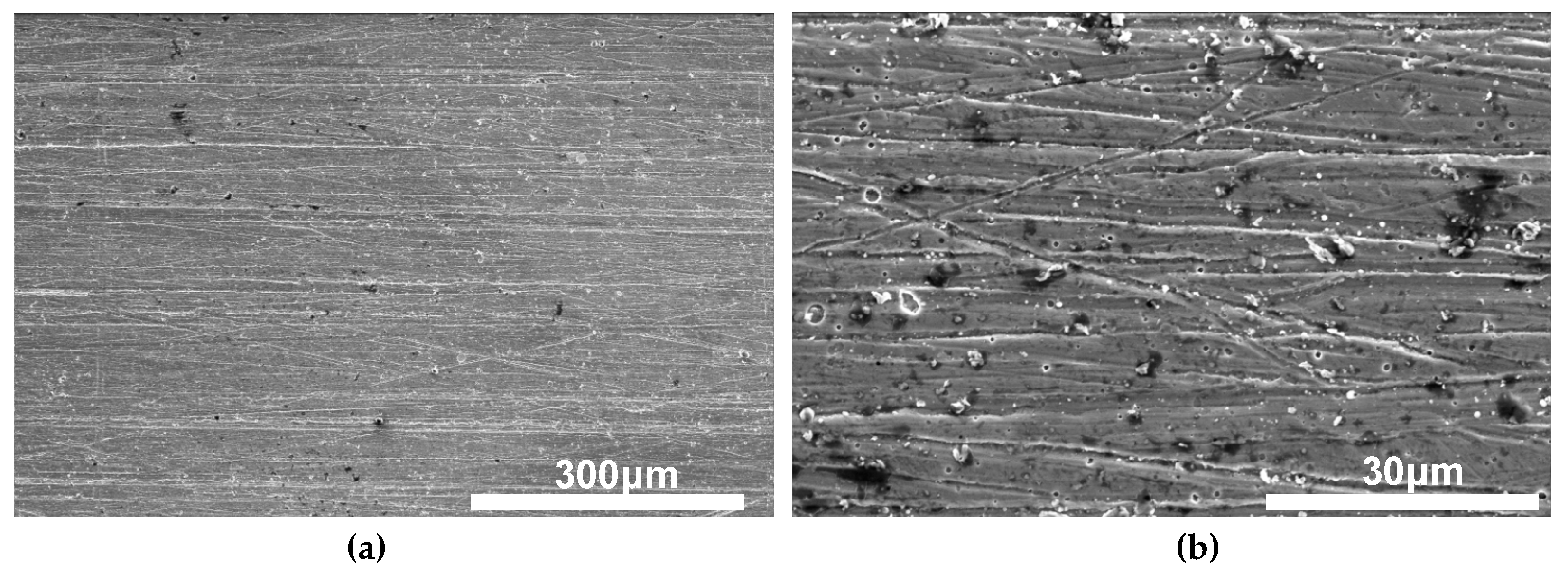 Coatings 09 00140 g005