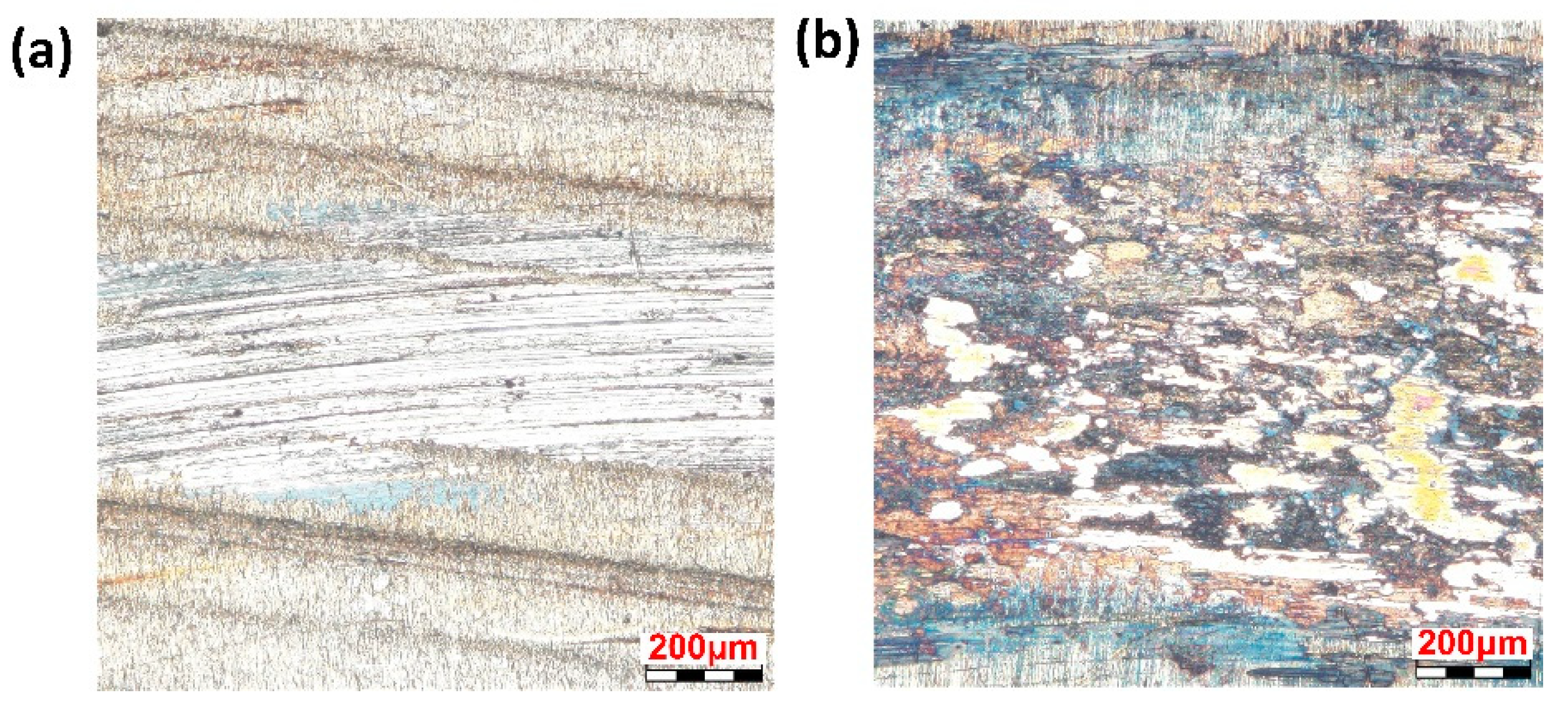 Coatings 09 00140 g013