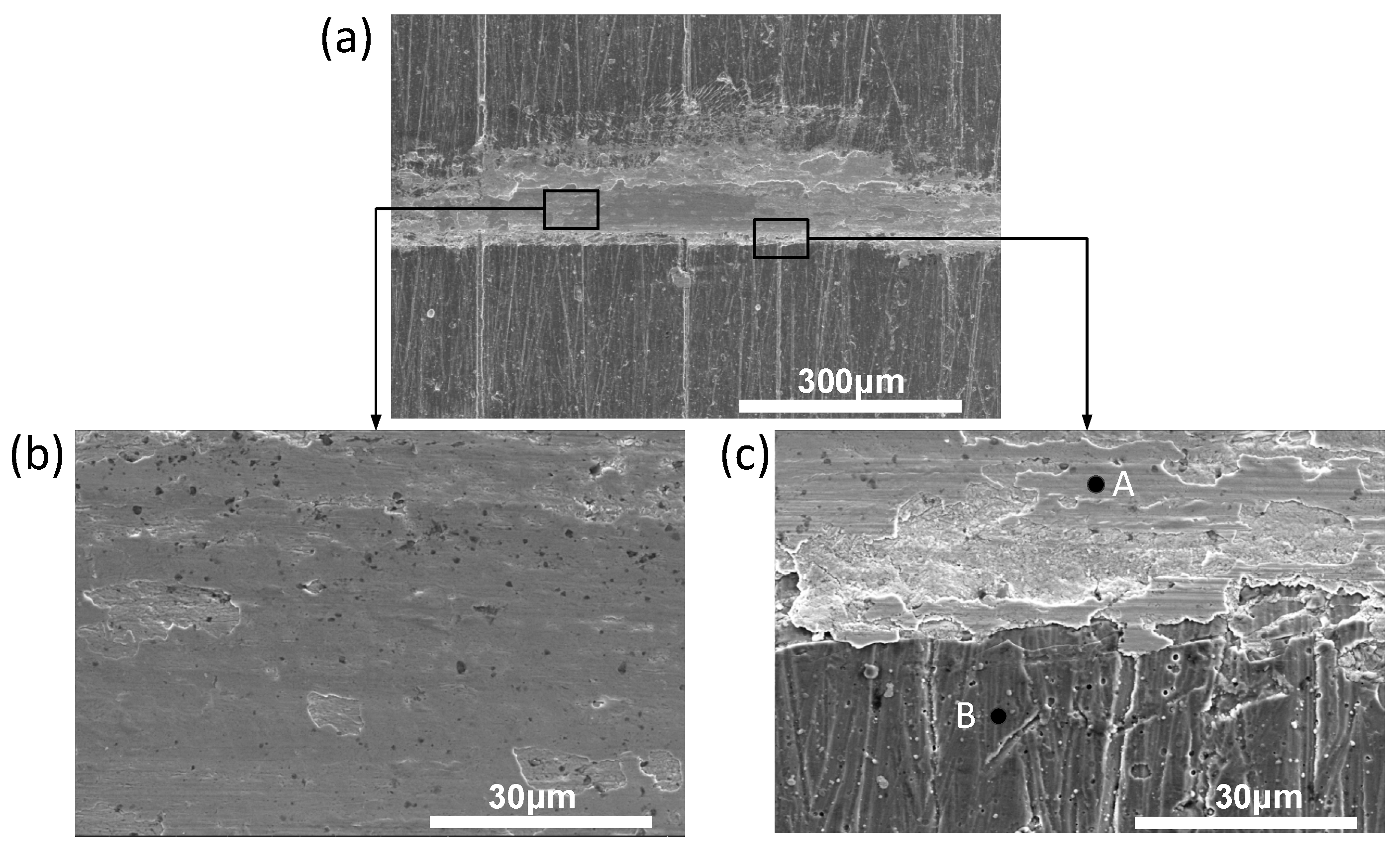 Coatings 09 00140 g016