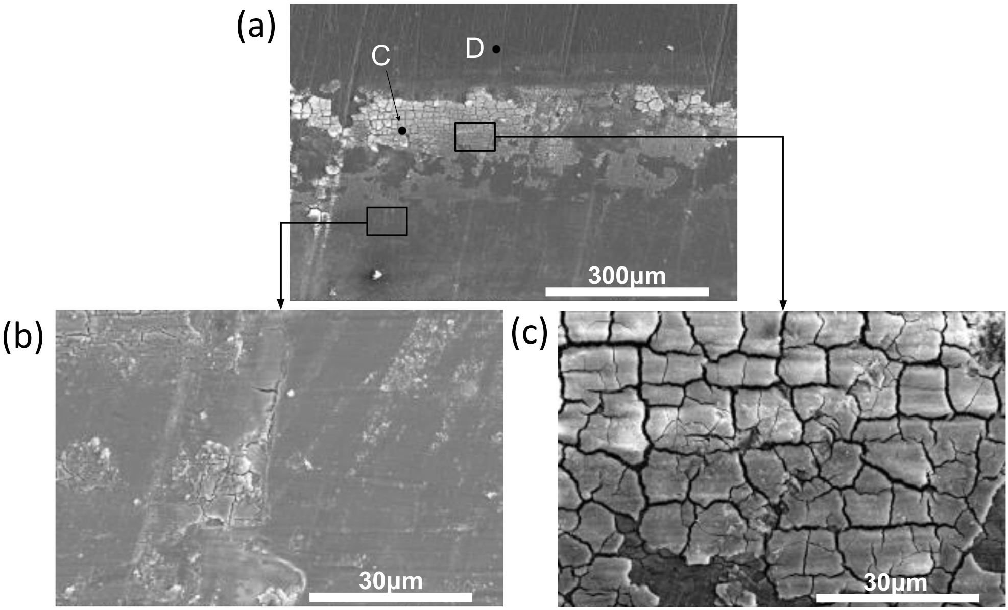 Coatings 09 00140 g017