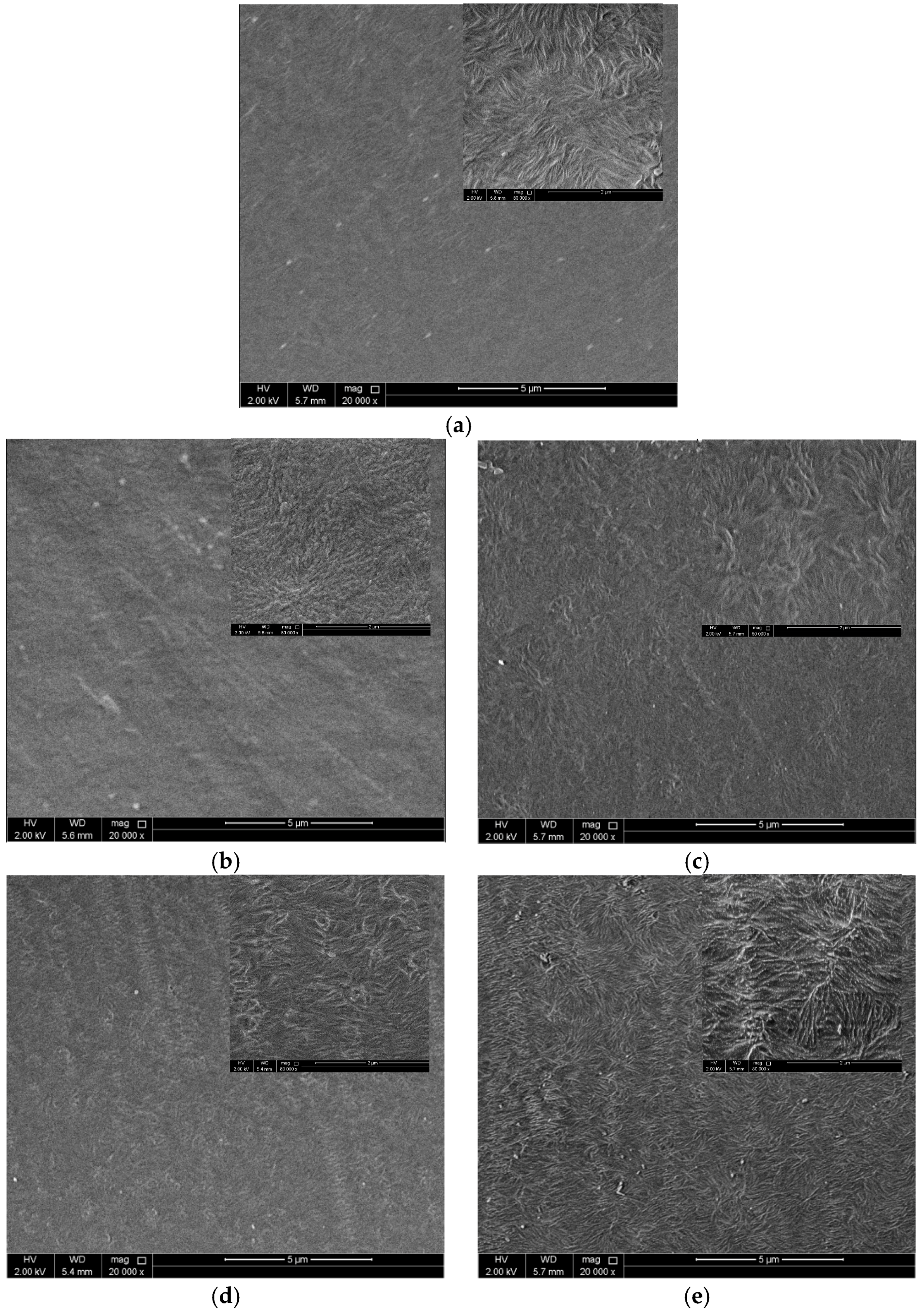 Coatings 09 00145 g021