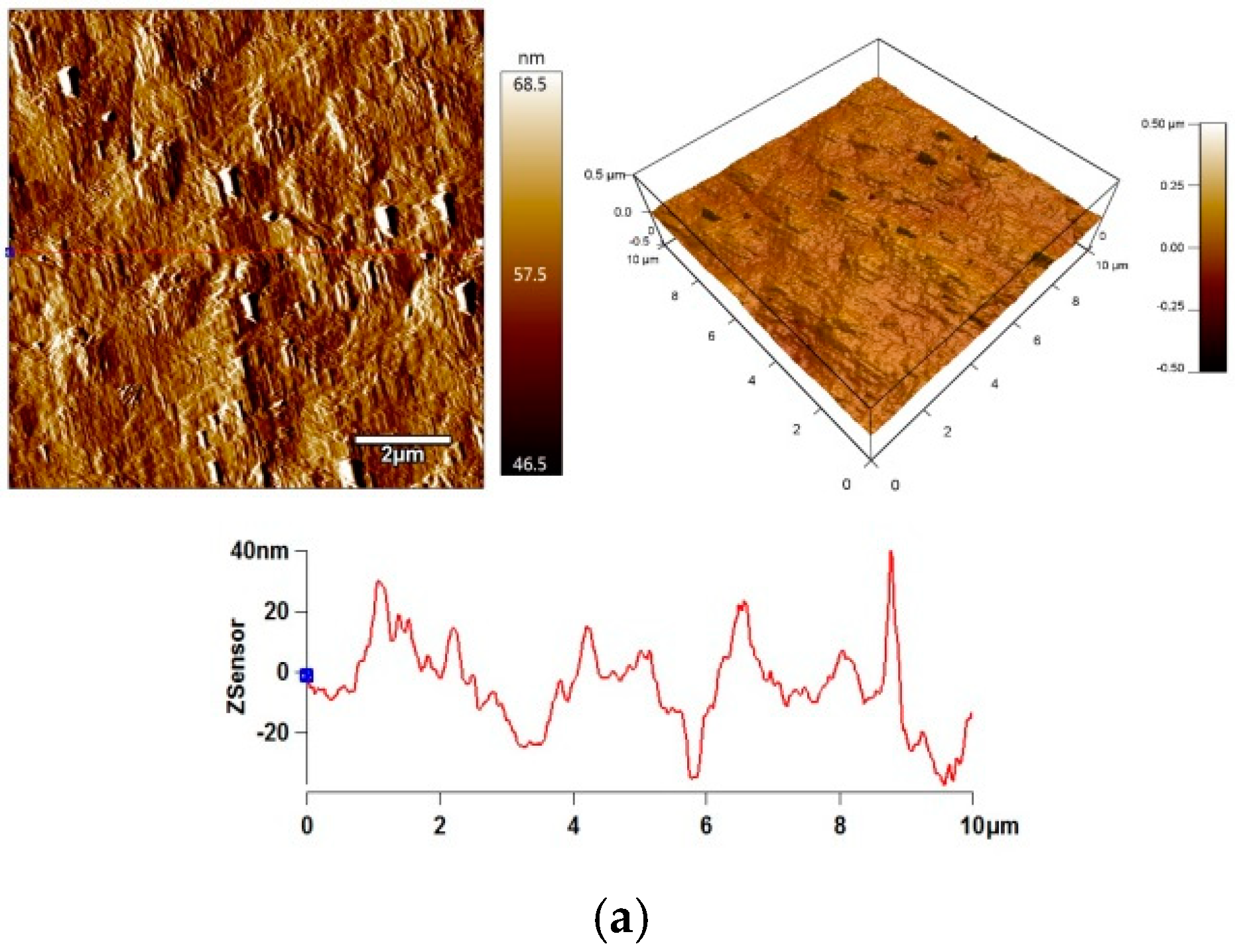 Coatings 09 00145 g025a