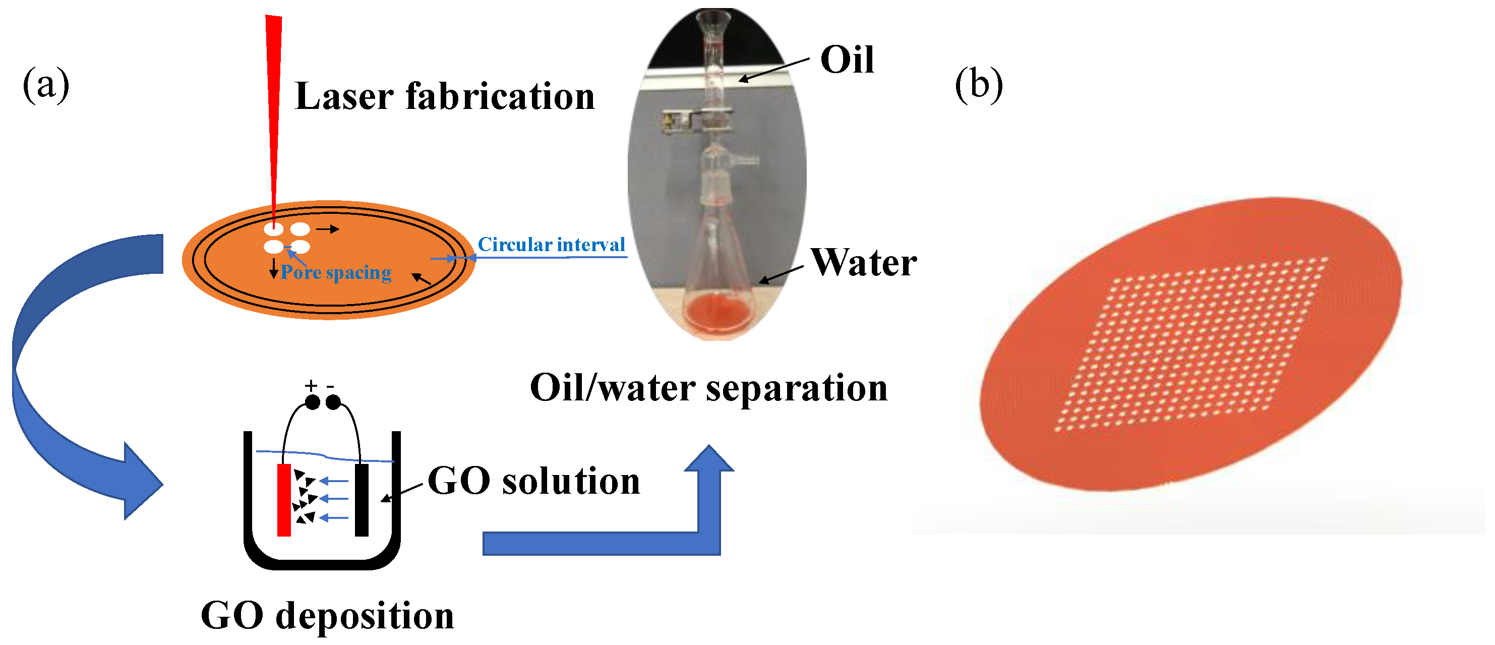 Coatings 09 00157 g001