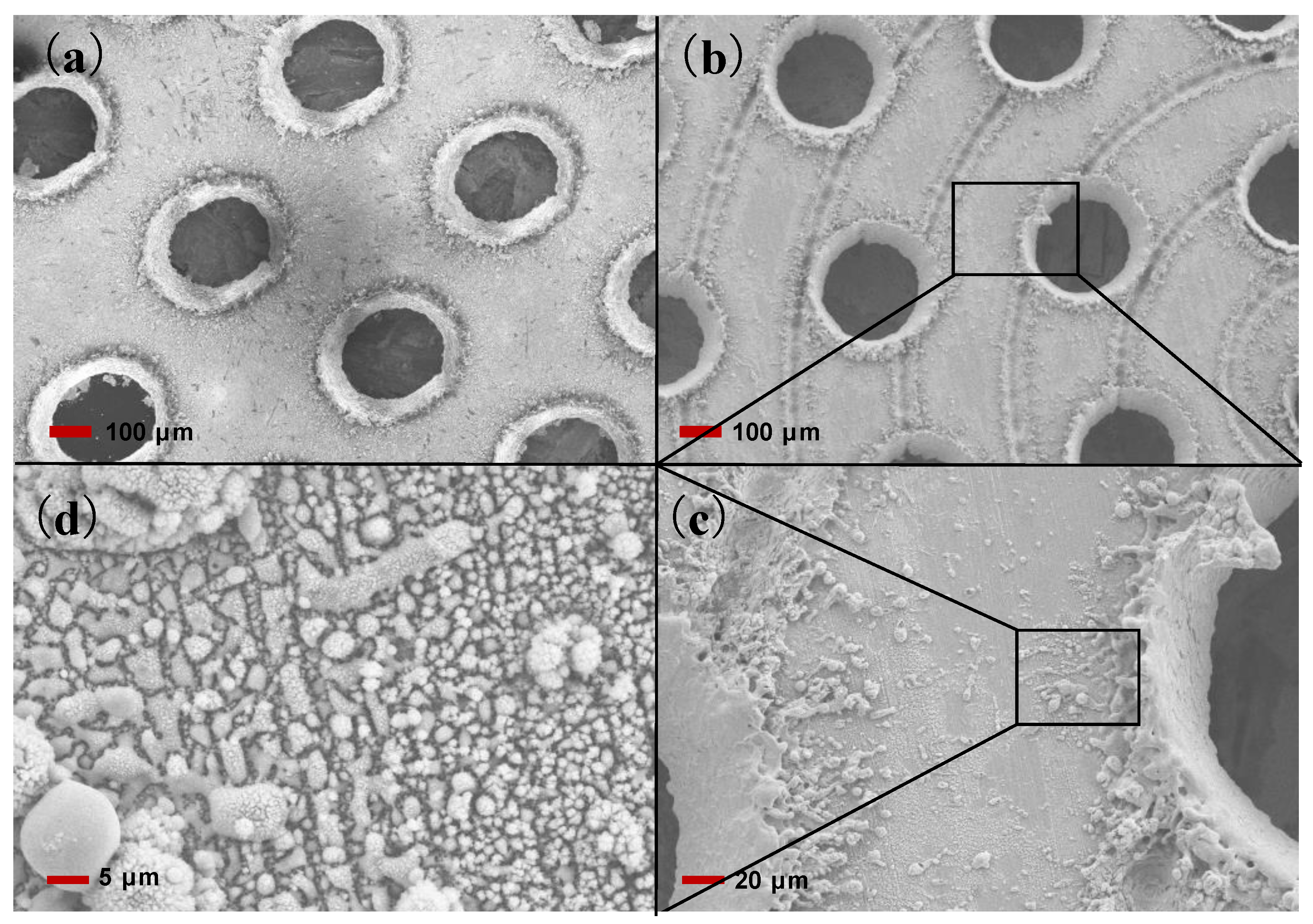 Coatings 09 00157 g002