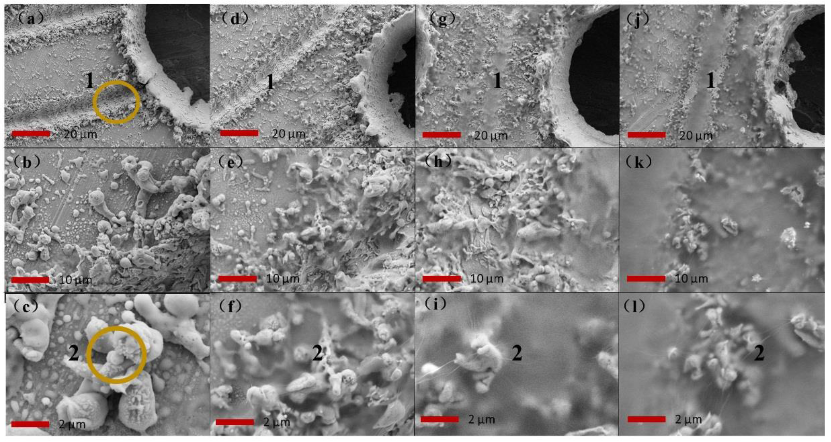 Coatings 09 00157 g004