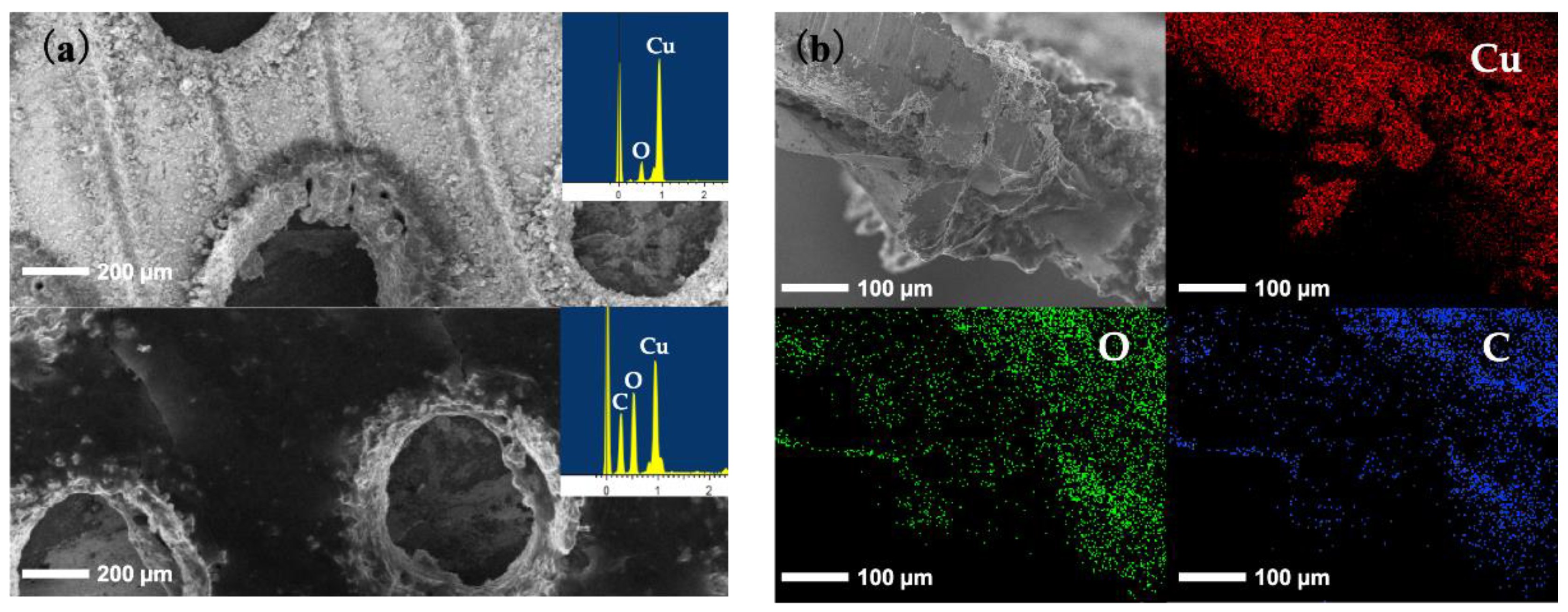 Coatings 09 00157 g005