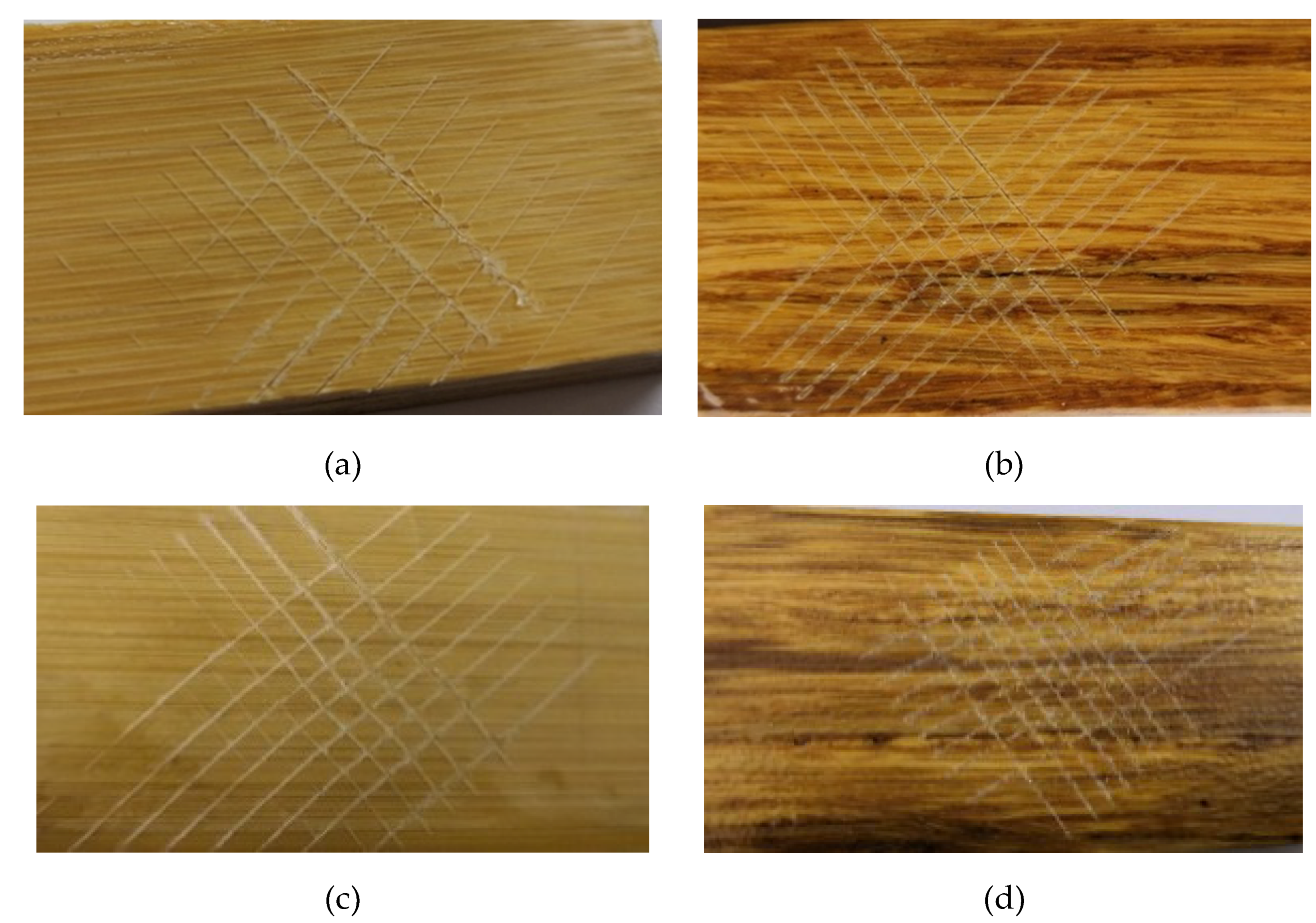 Coatings 09 00161 g006