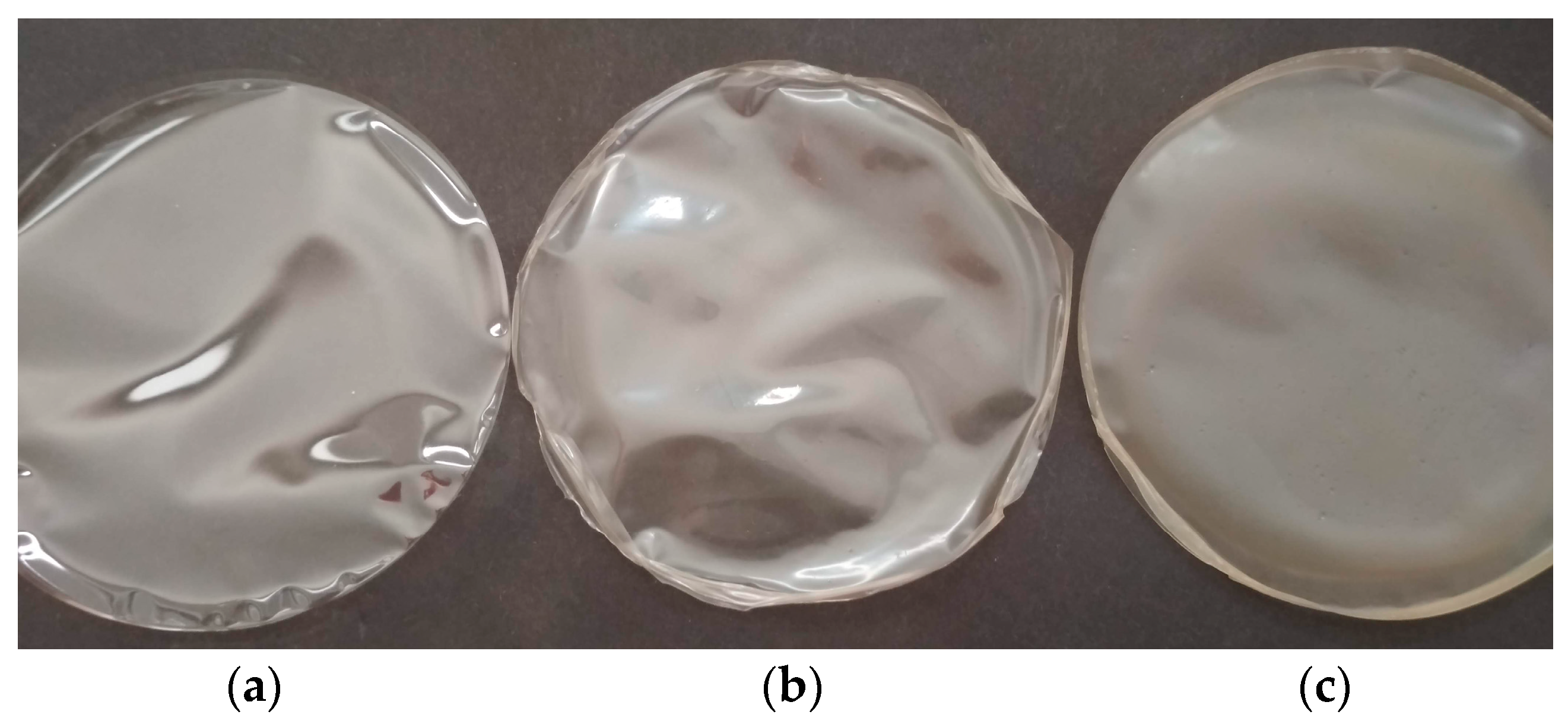 Coatings 09 00165 g002