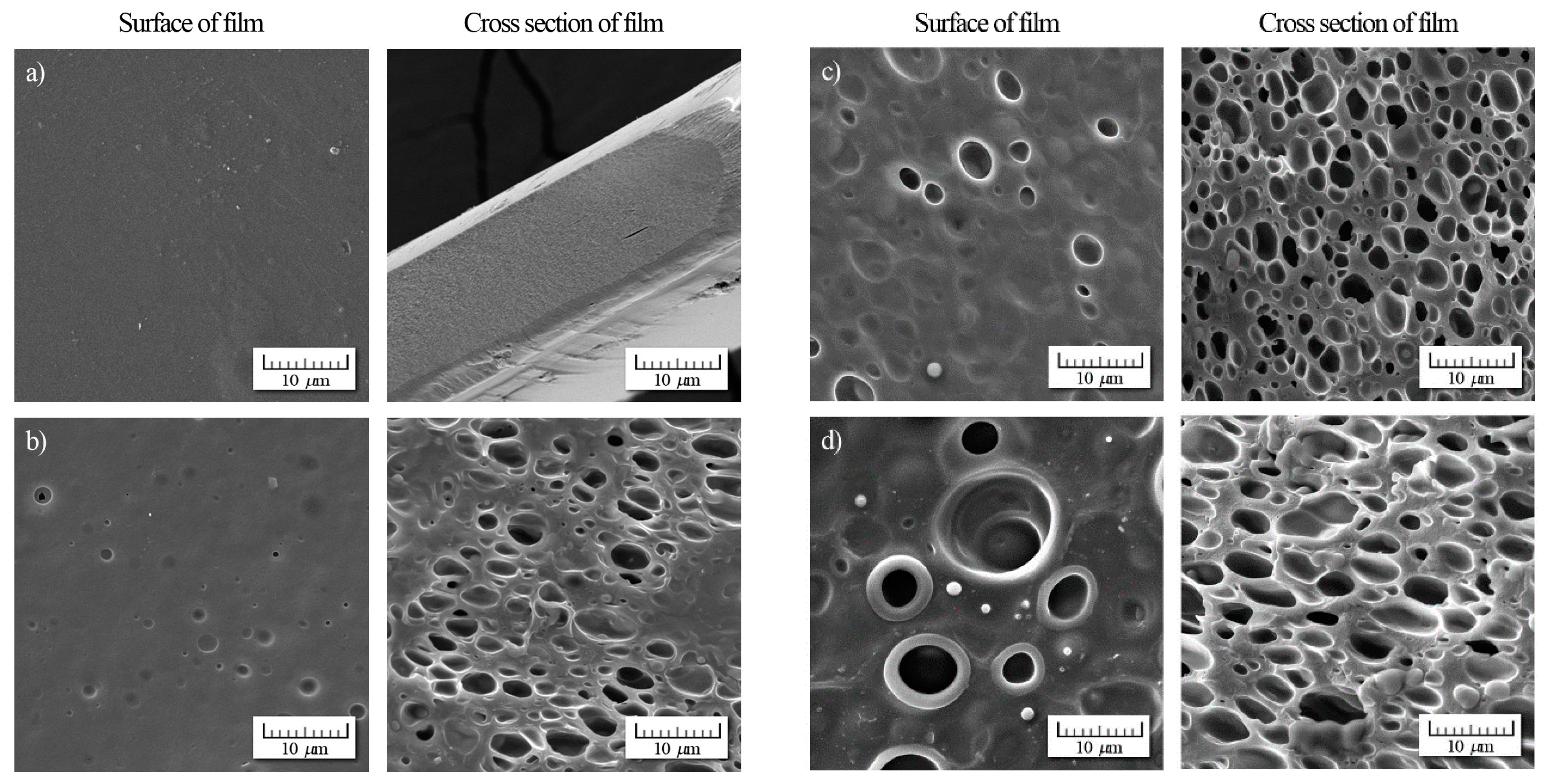 Coatings 09 00165 g003