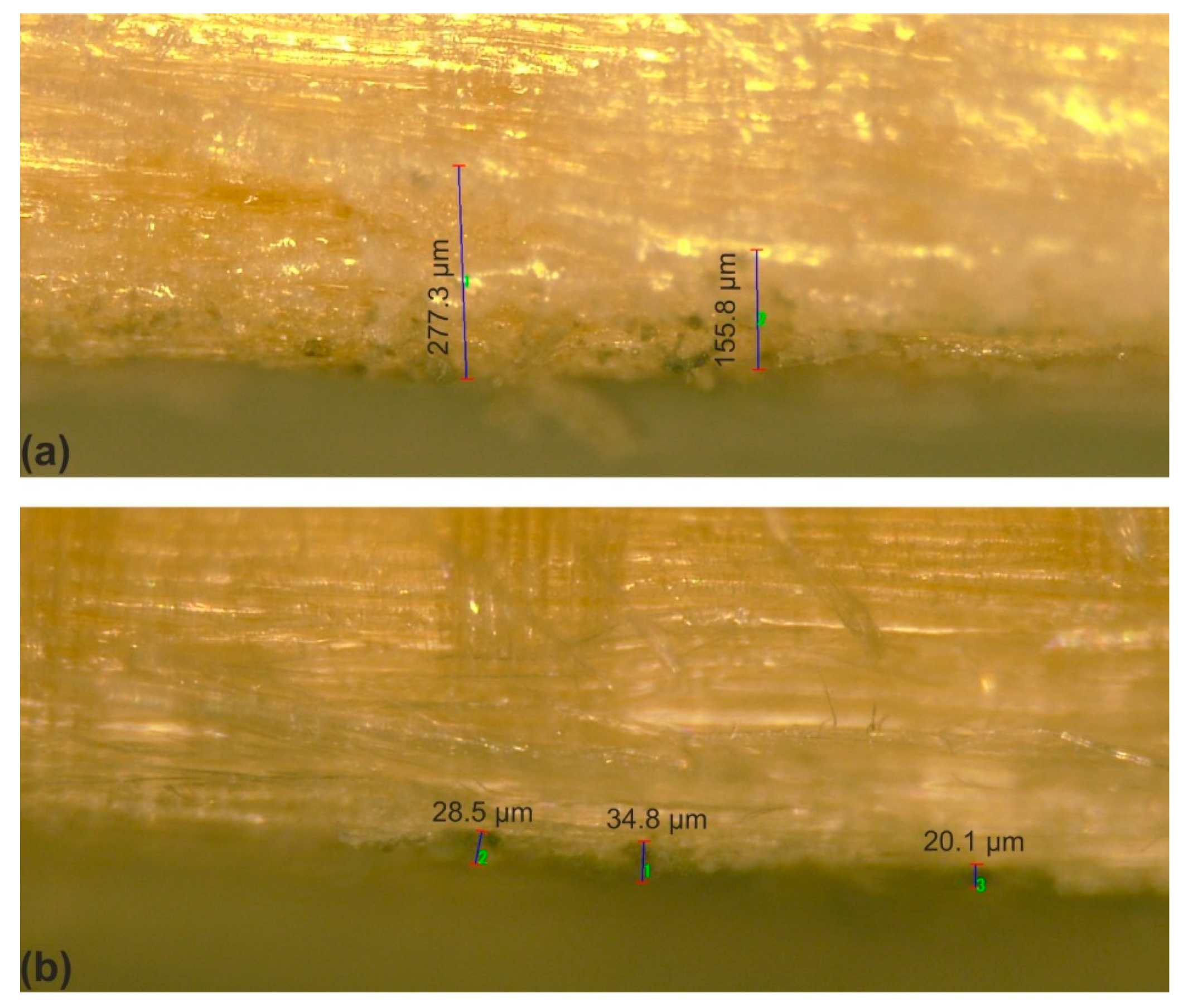 Coatings 09 00176 g004