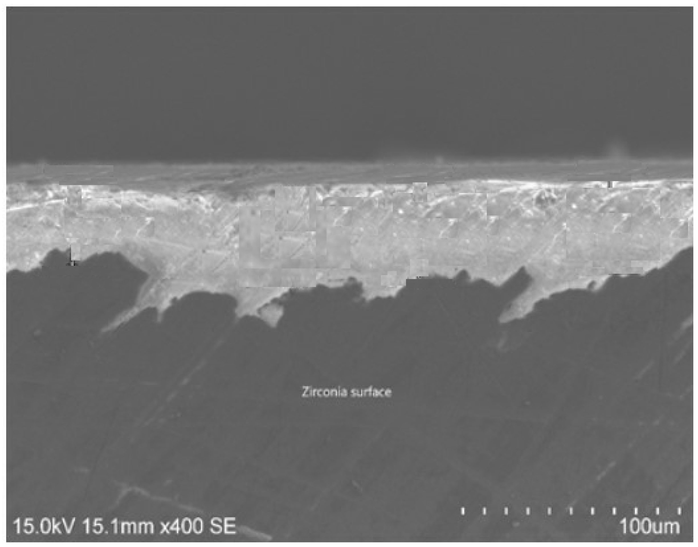 Coatings 09 00182 g001