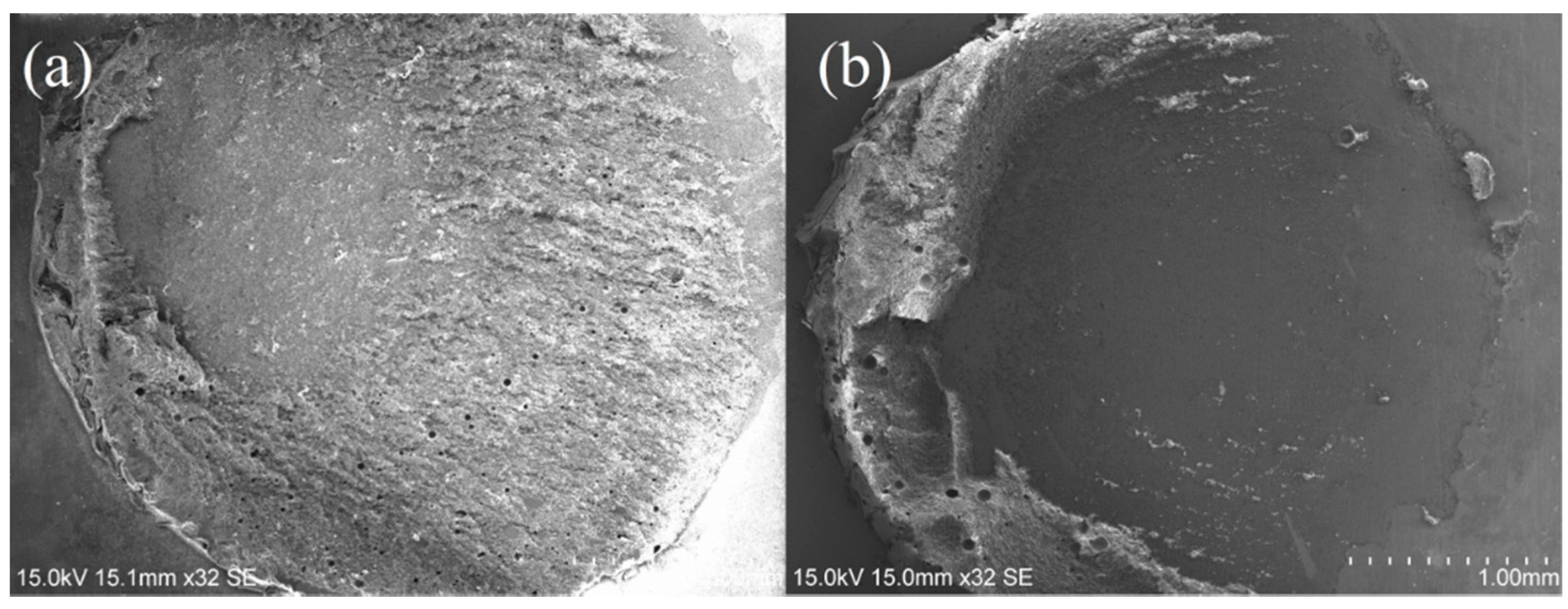 Coatings 09 00182 g003