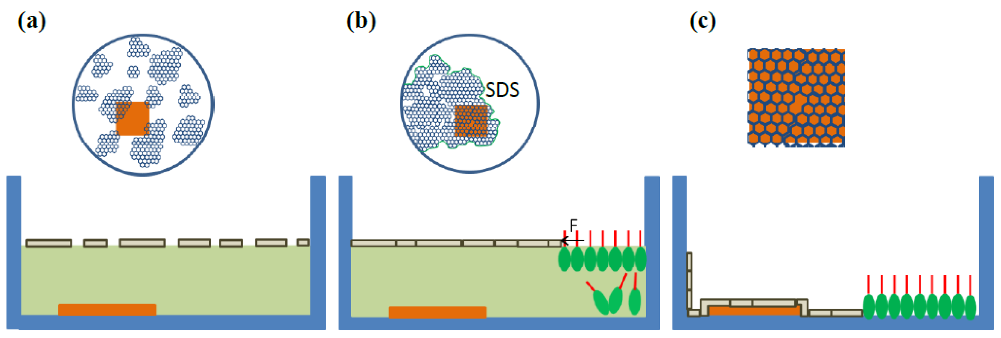 Coatings 09 00183 g001