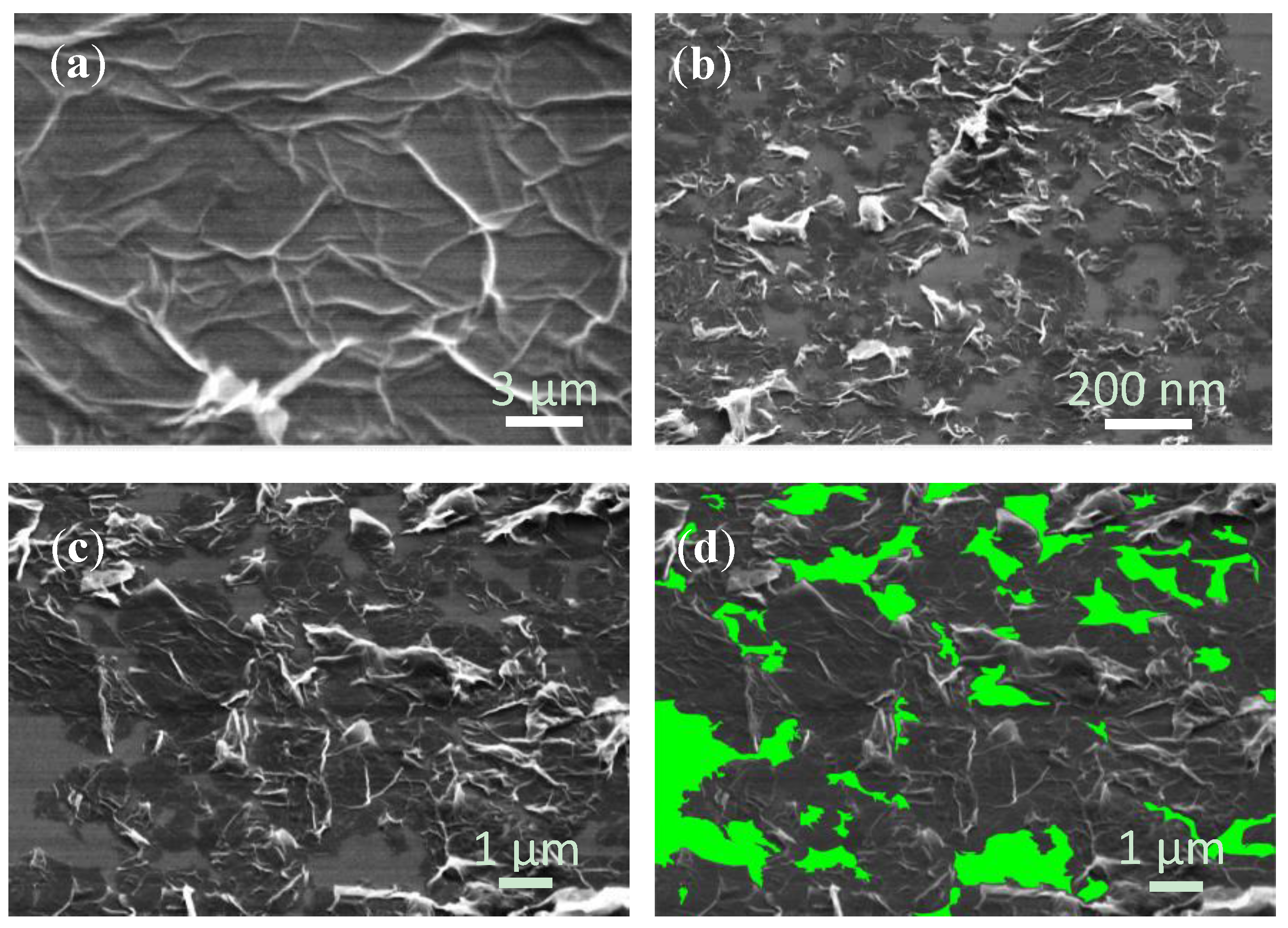 Coatings 09 00183 g002
