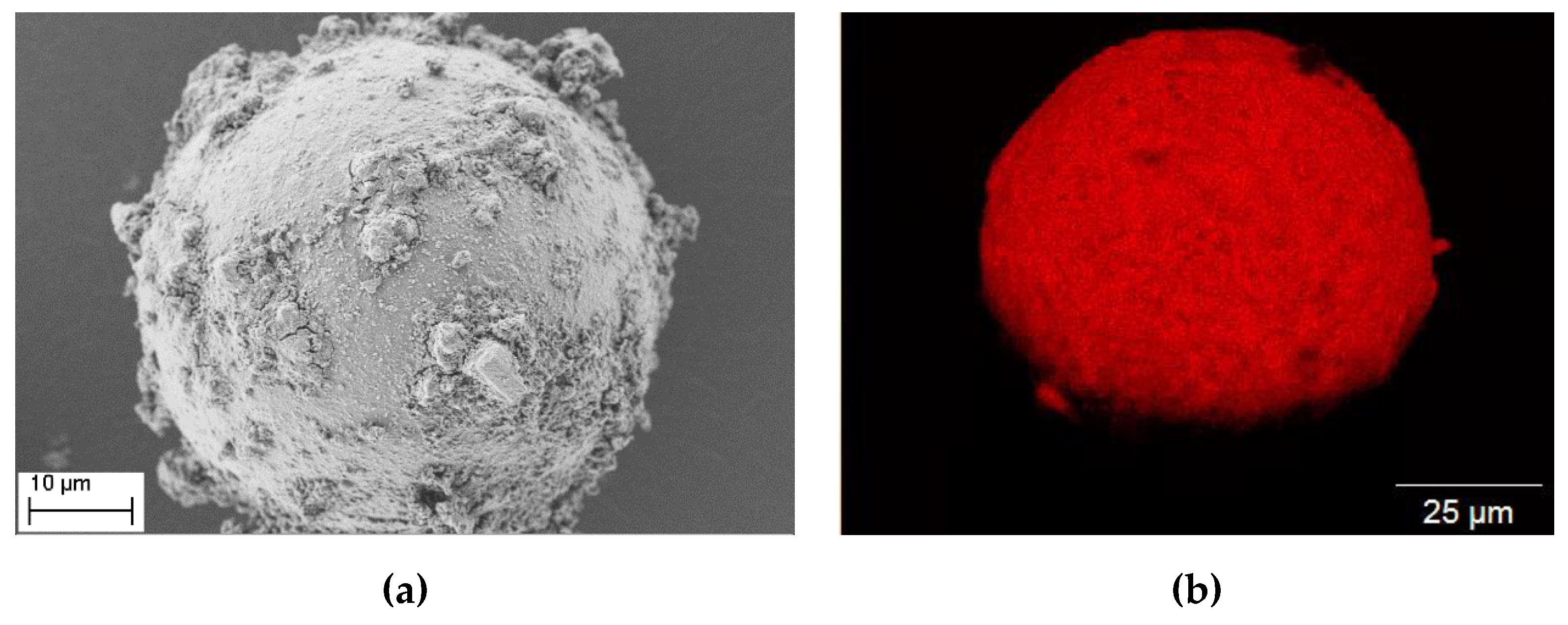 Coatings 09 00187 g006