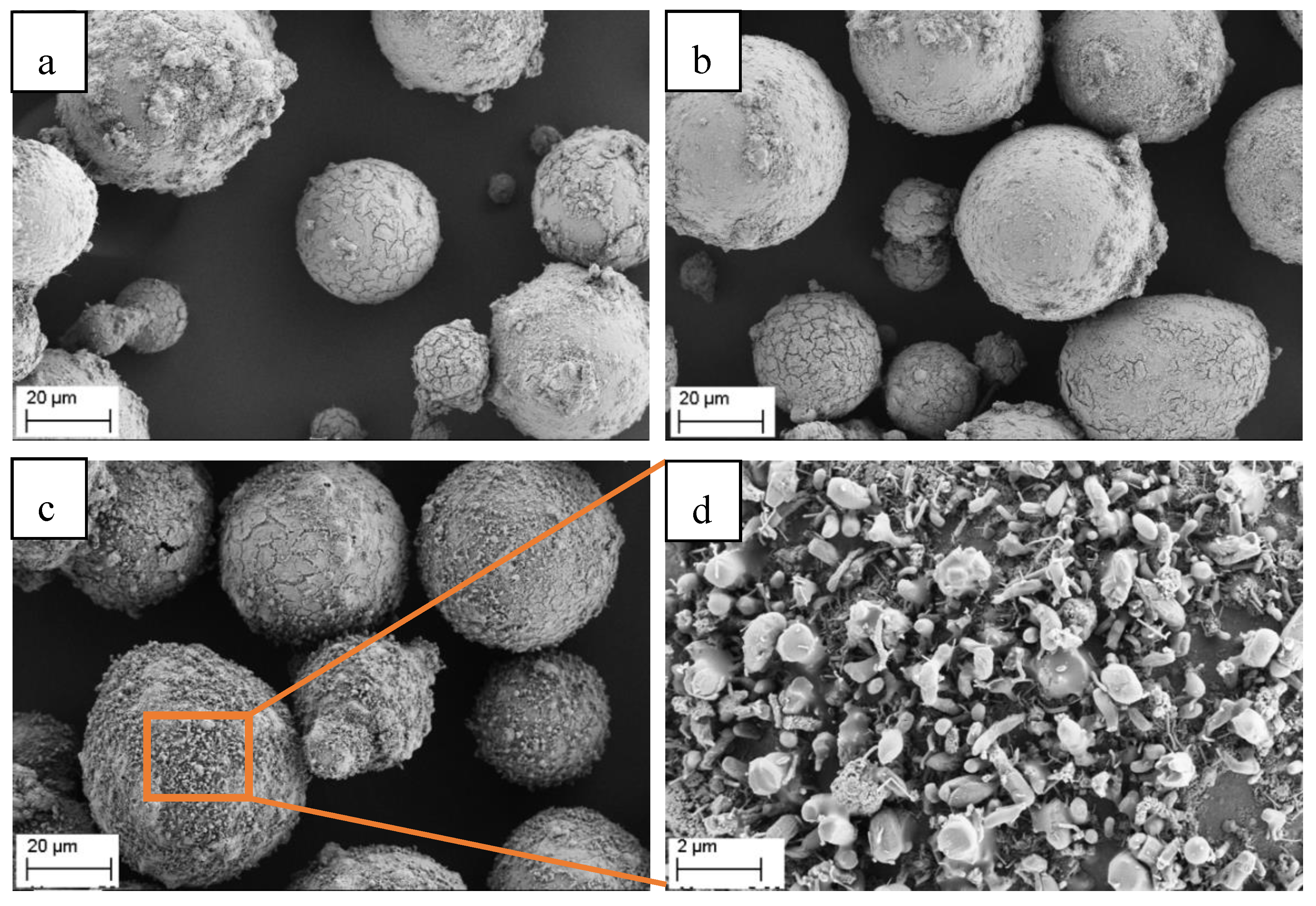 Coatings 09 00187 g012