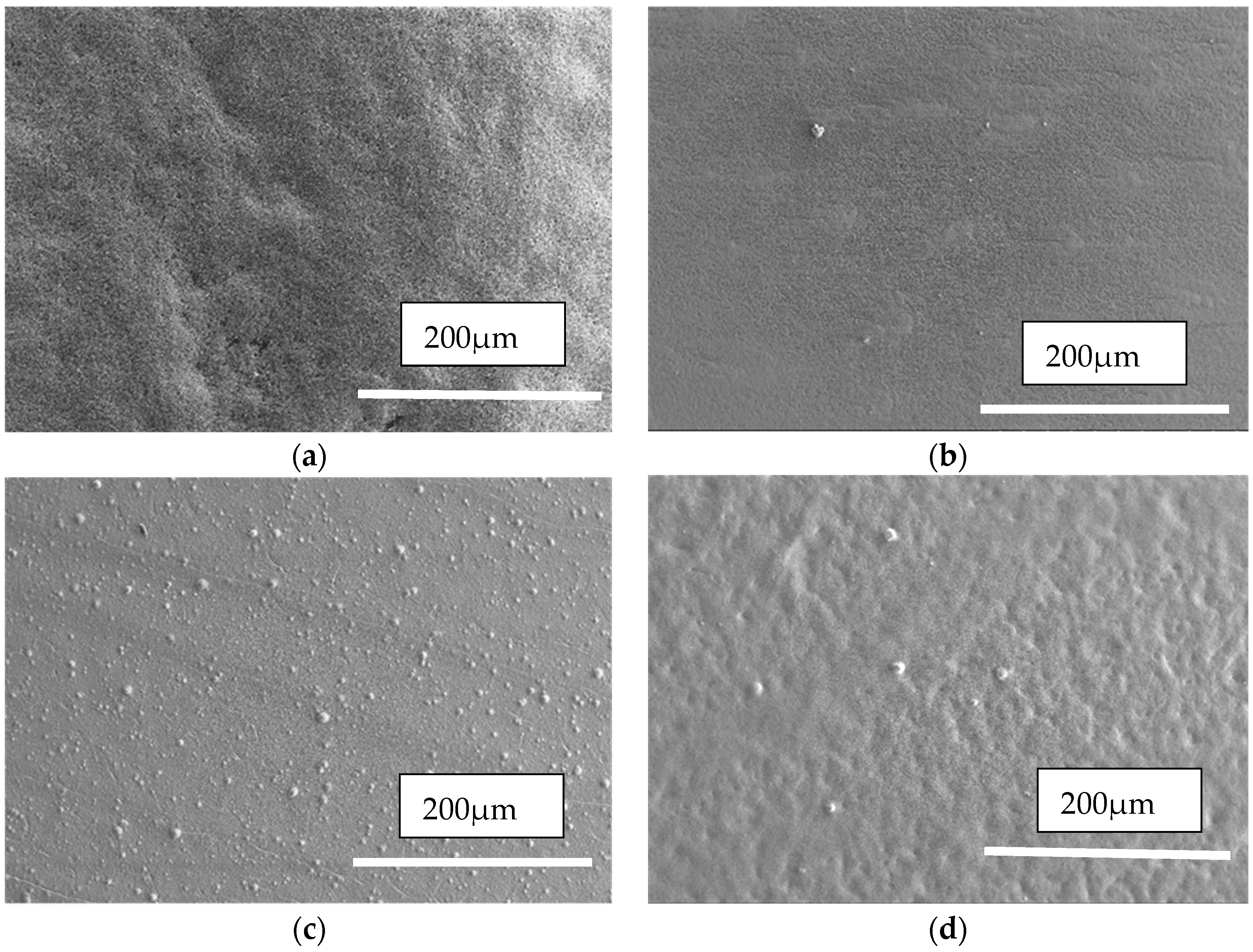 Coatings 09 00188 g002