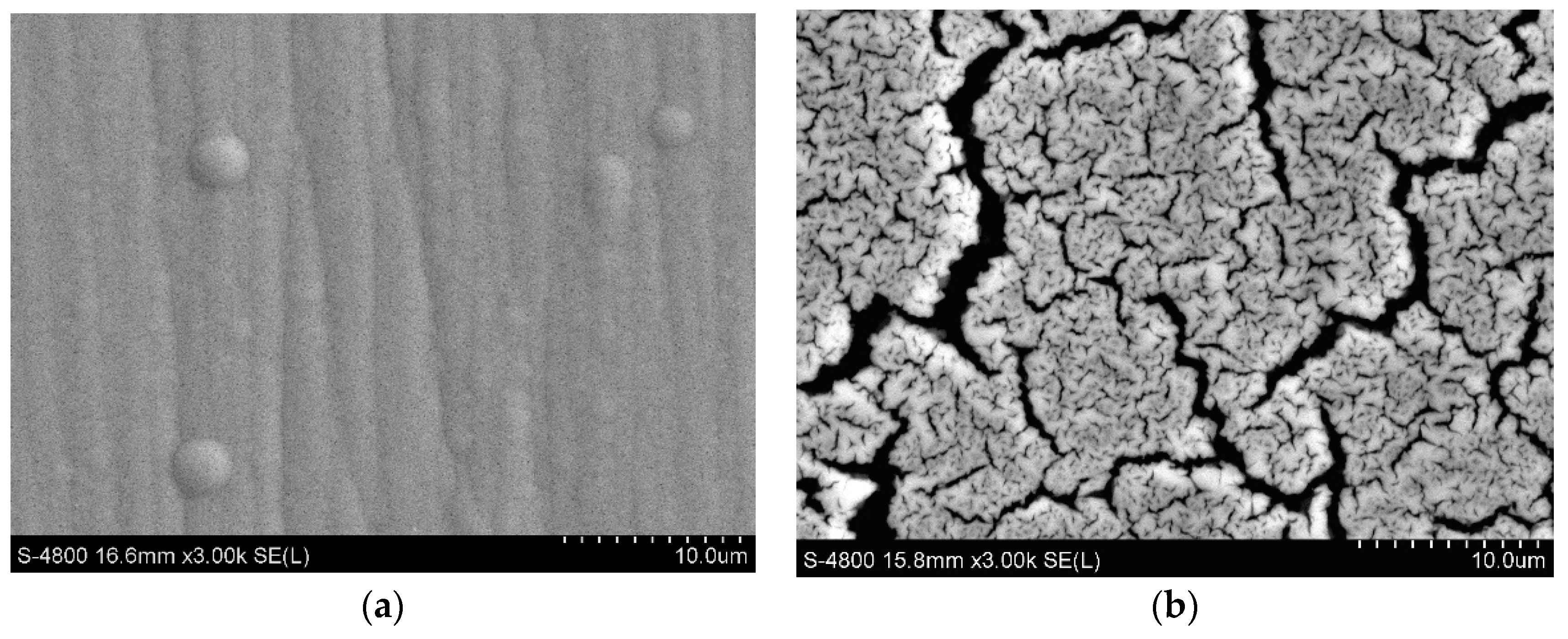 Coatings 09 00189 g008 Coatings 09 00189 g008