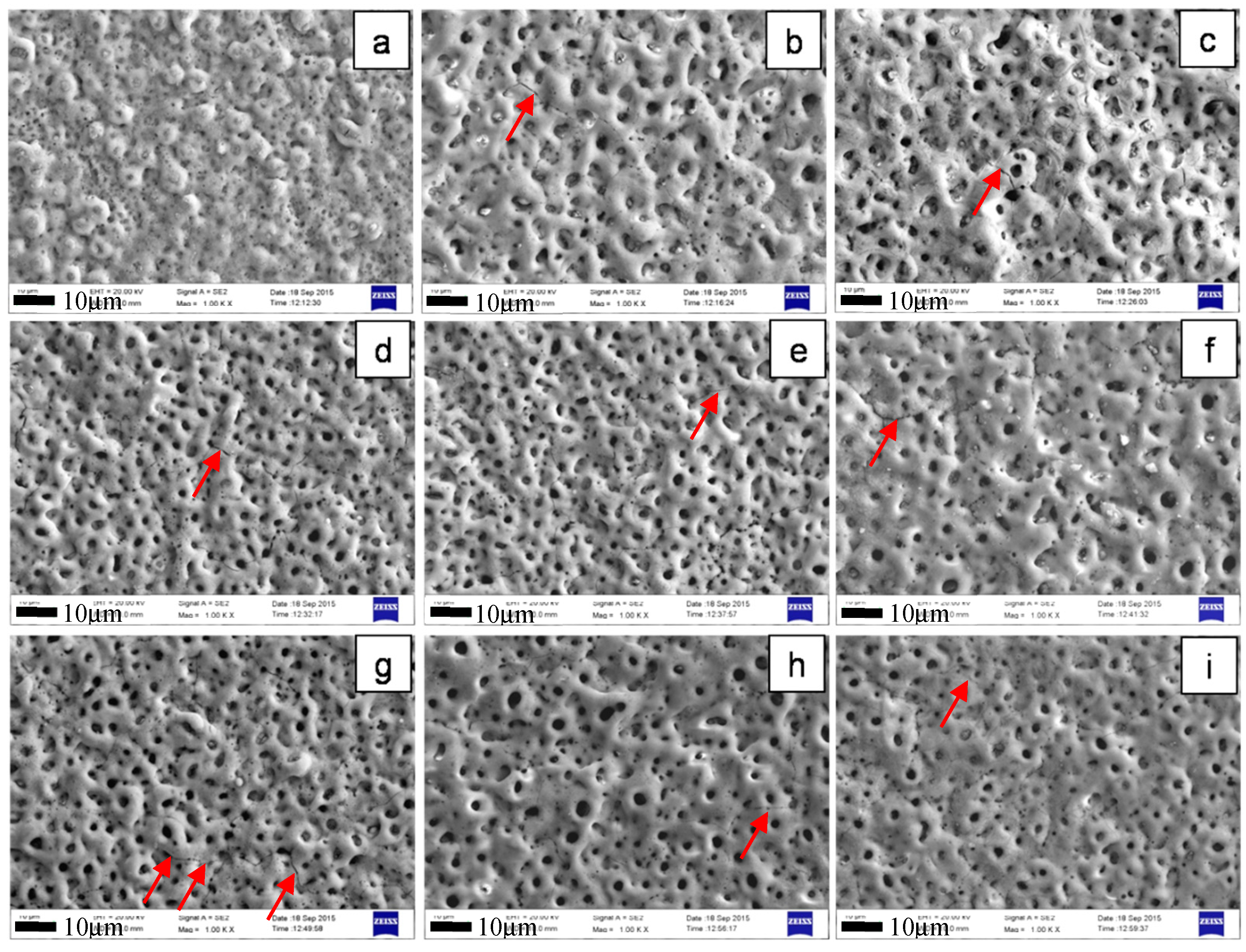 Coatings 09 00197 g001