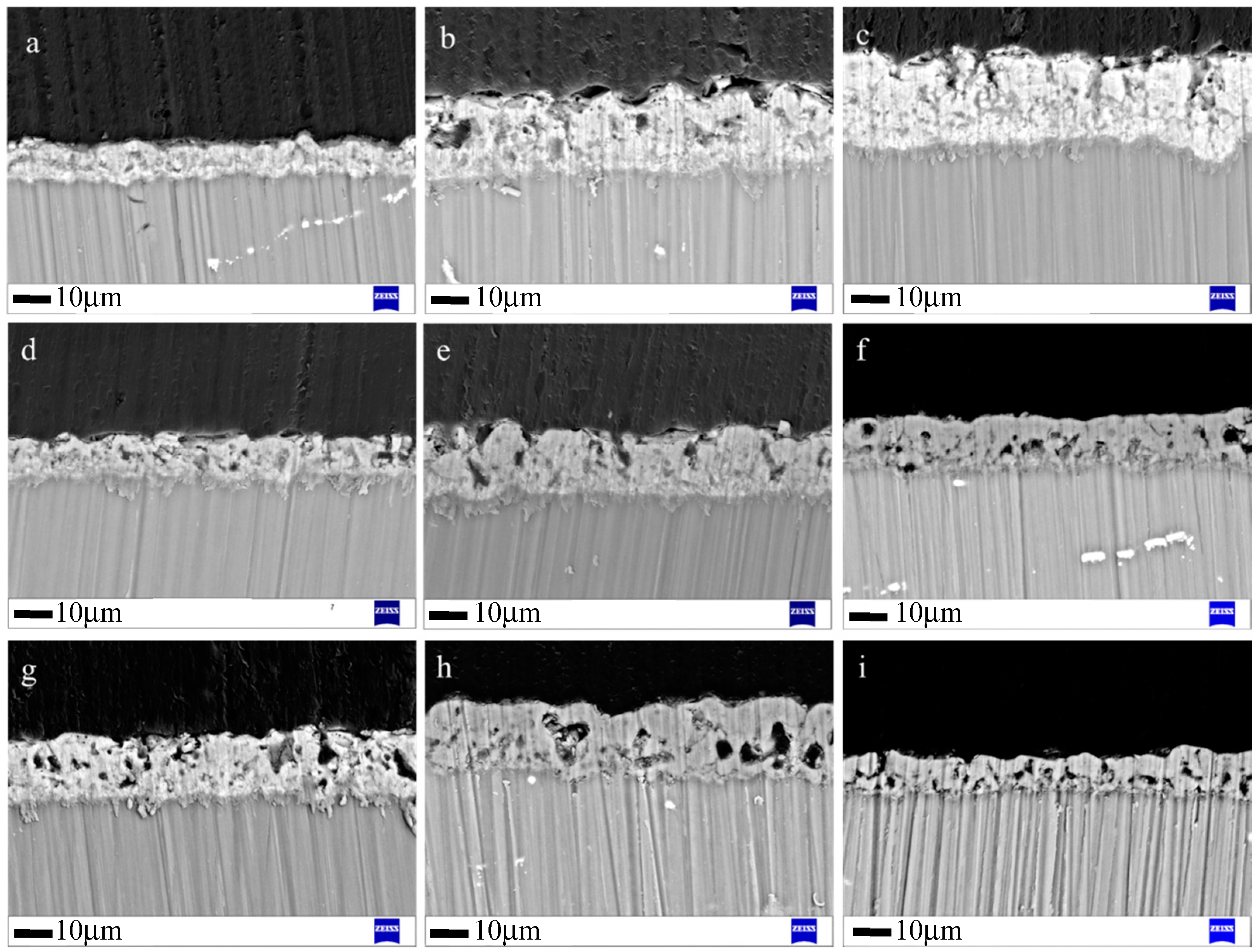 Coatings 09 00197 g002