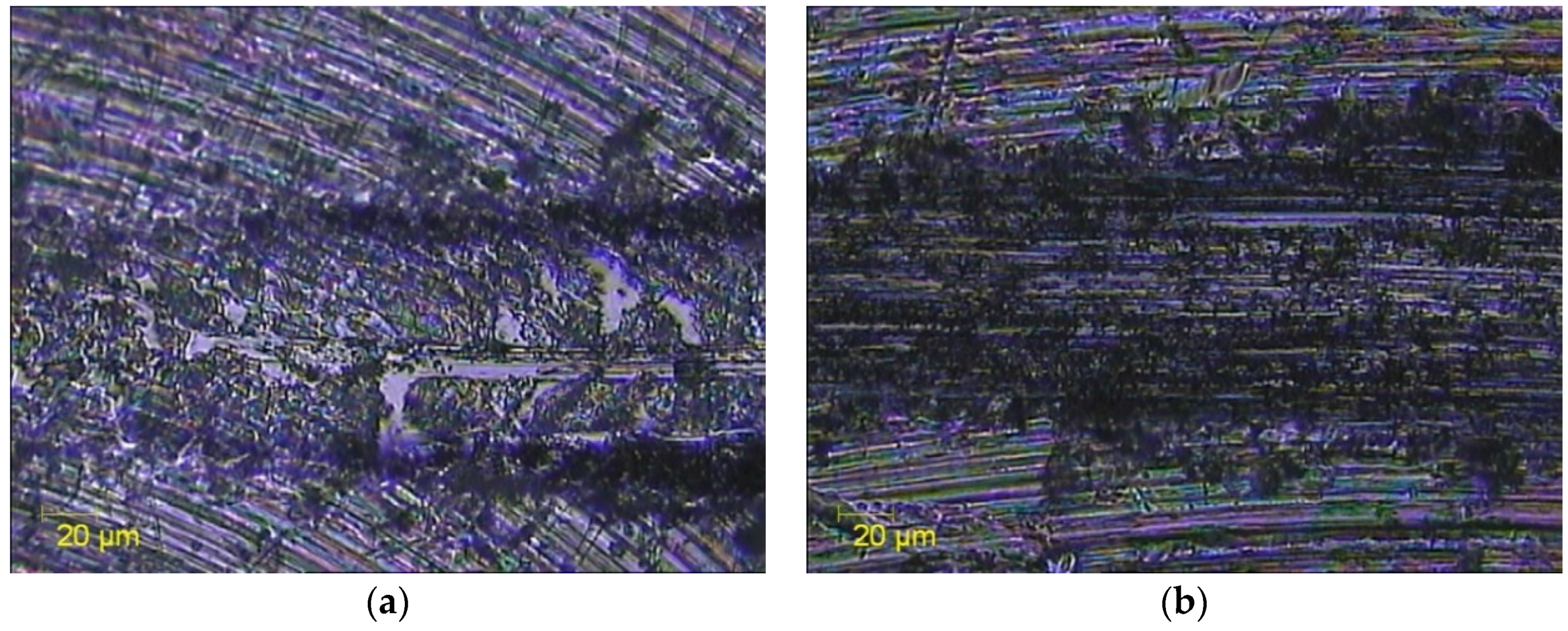 Coatings 09 00200 g006