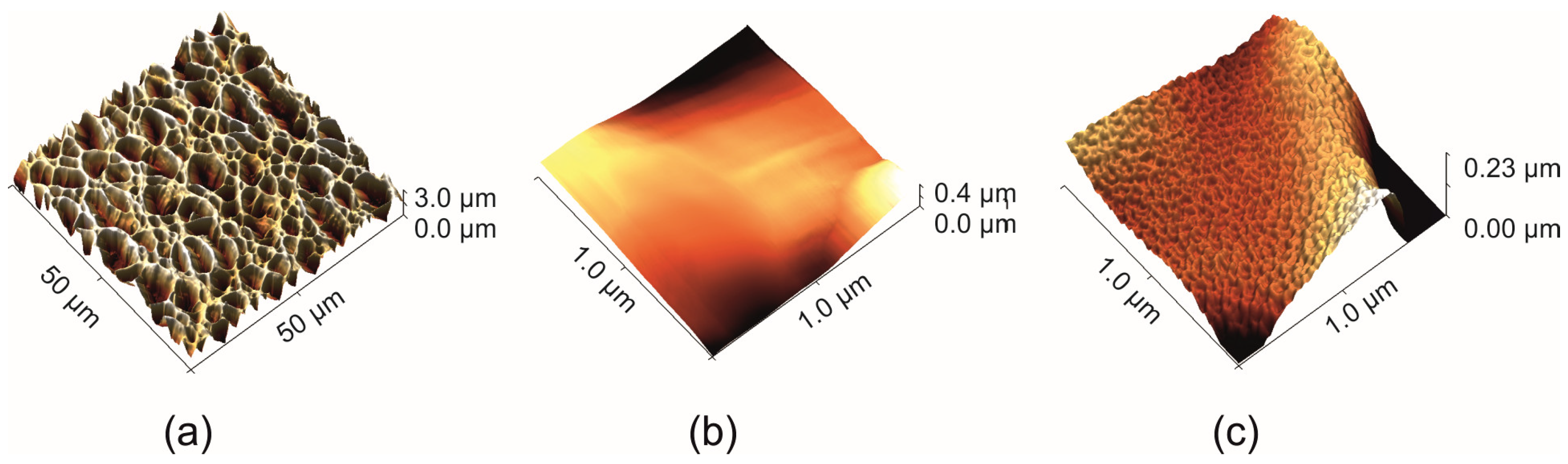 Coatings 09 00201 g002