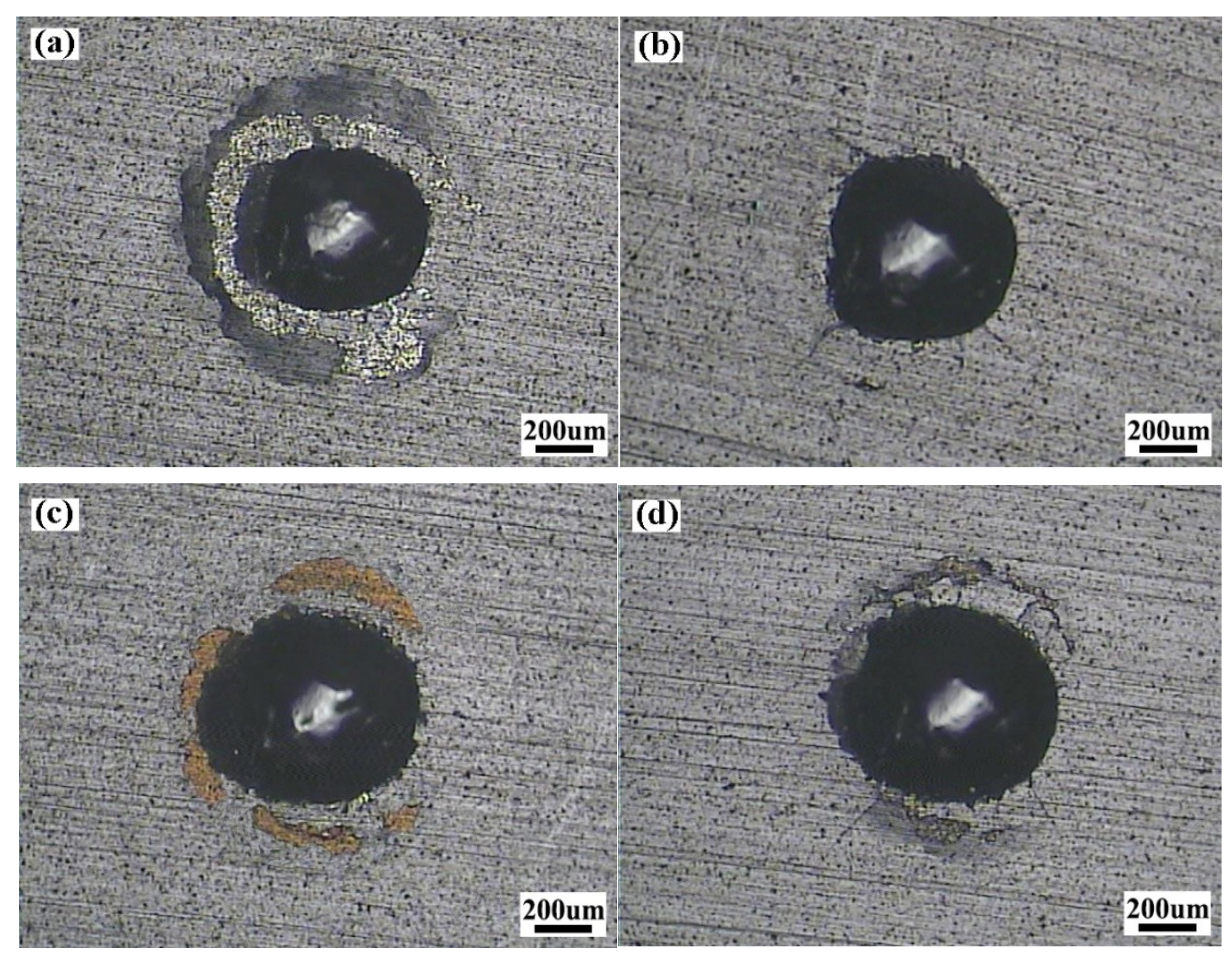 Coatings 09 00209 g003