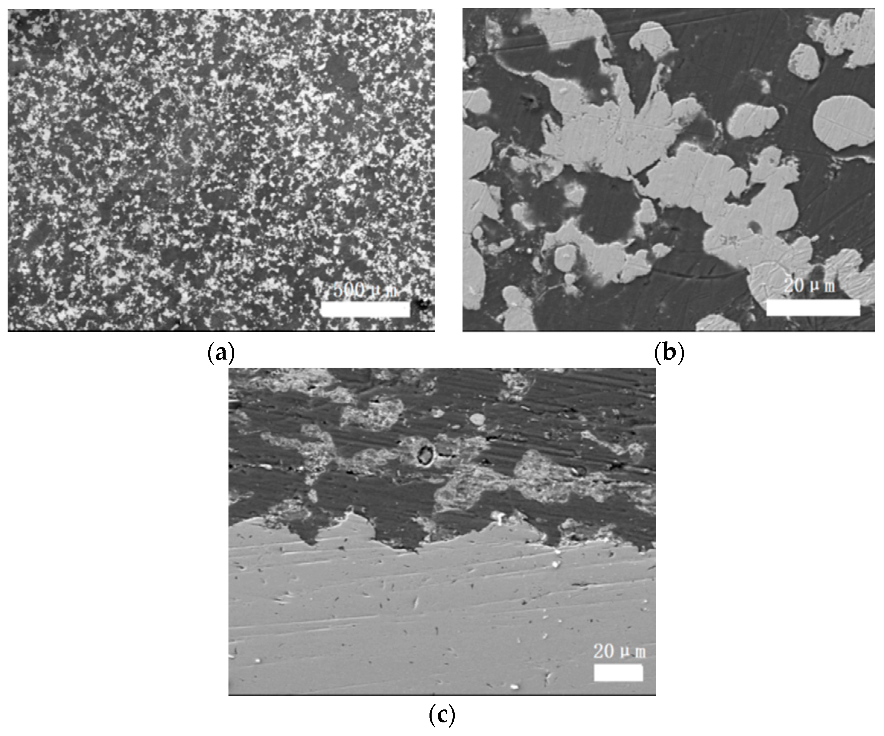 Coatings 09 00210 g001
