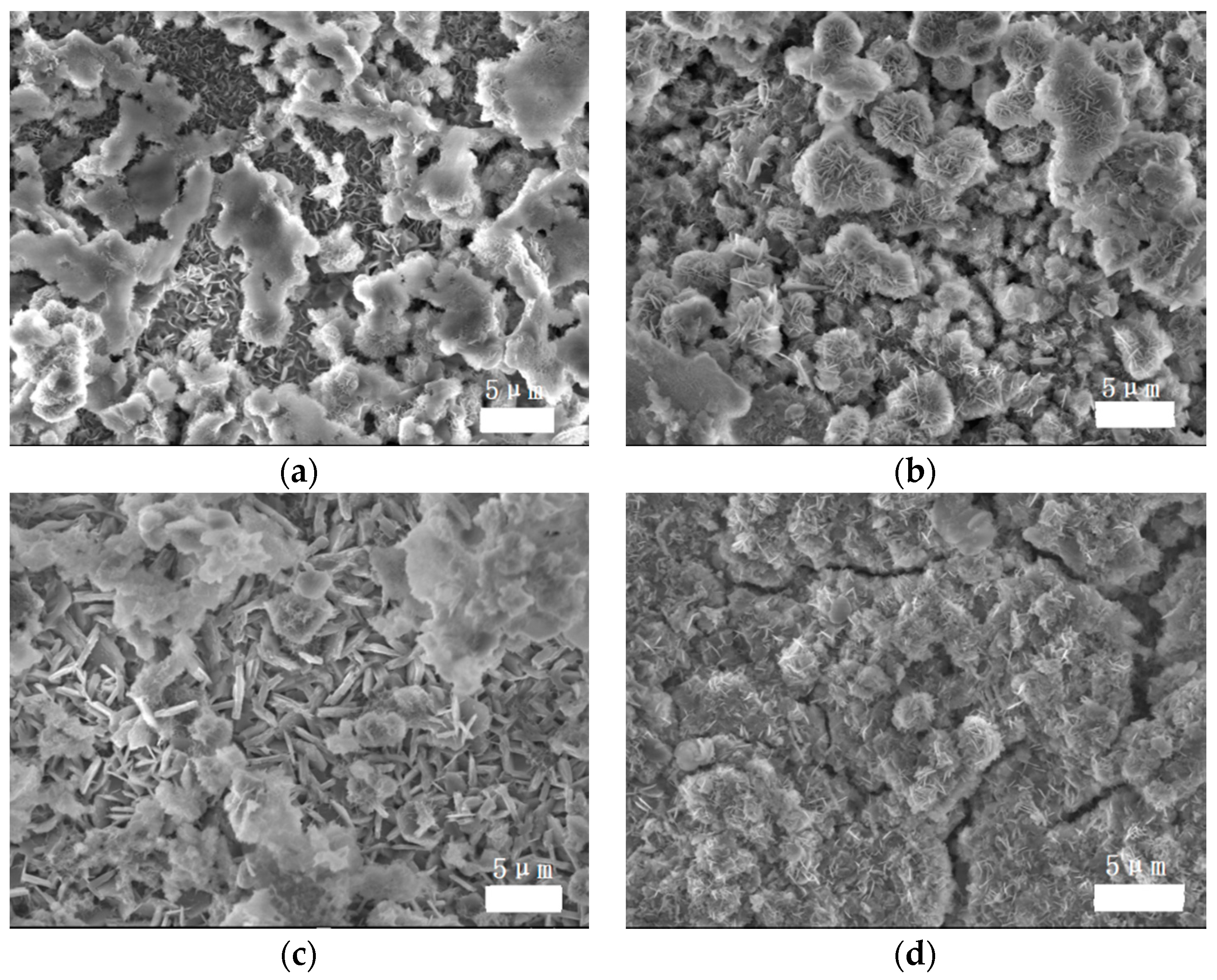 Coatings 09 00210 g005