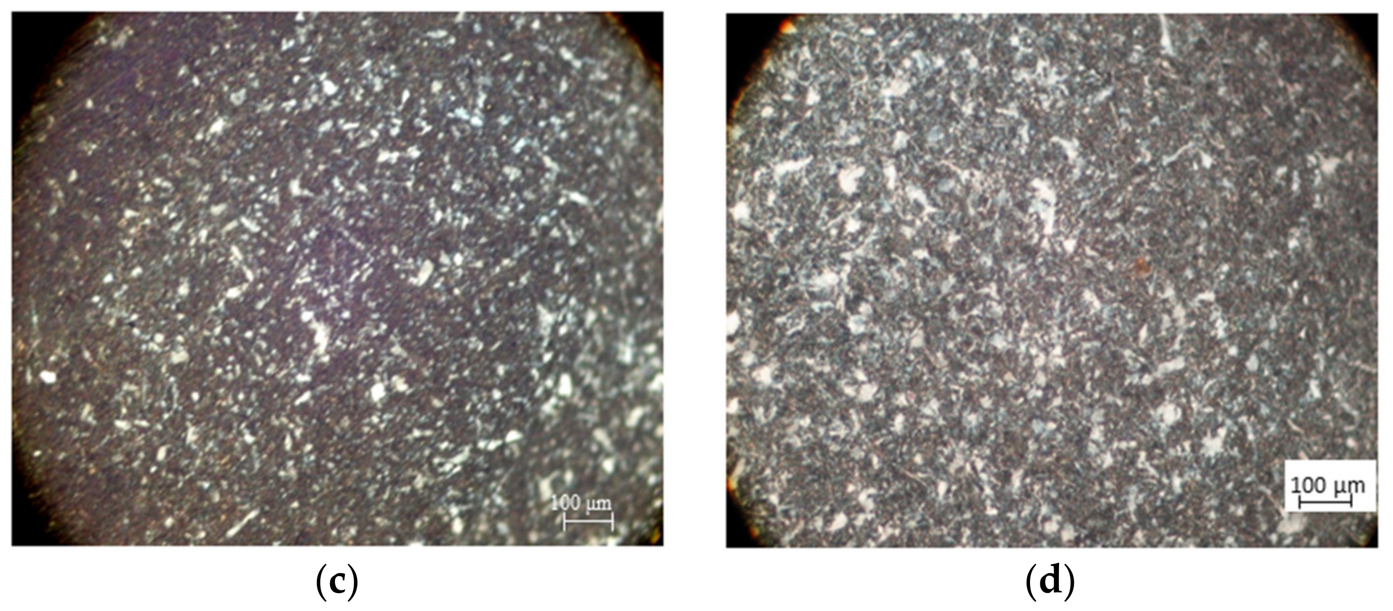 Coatings 09 00223 g002b