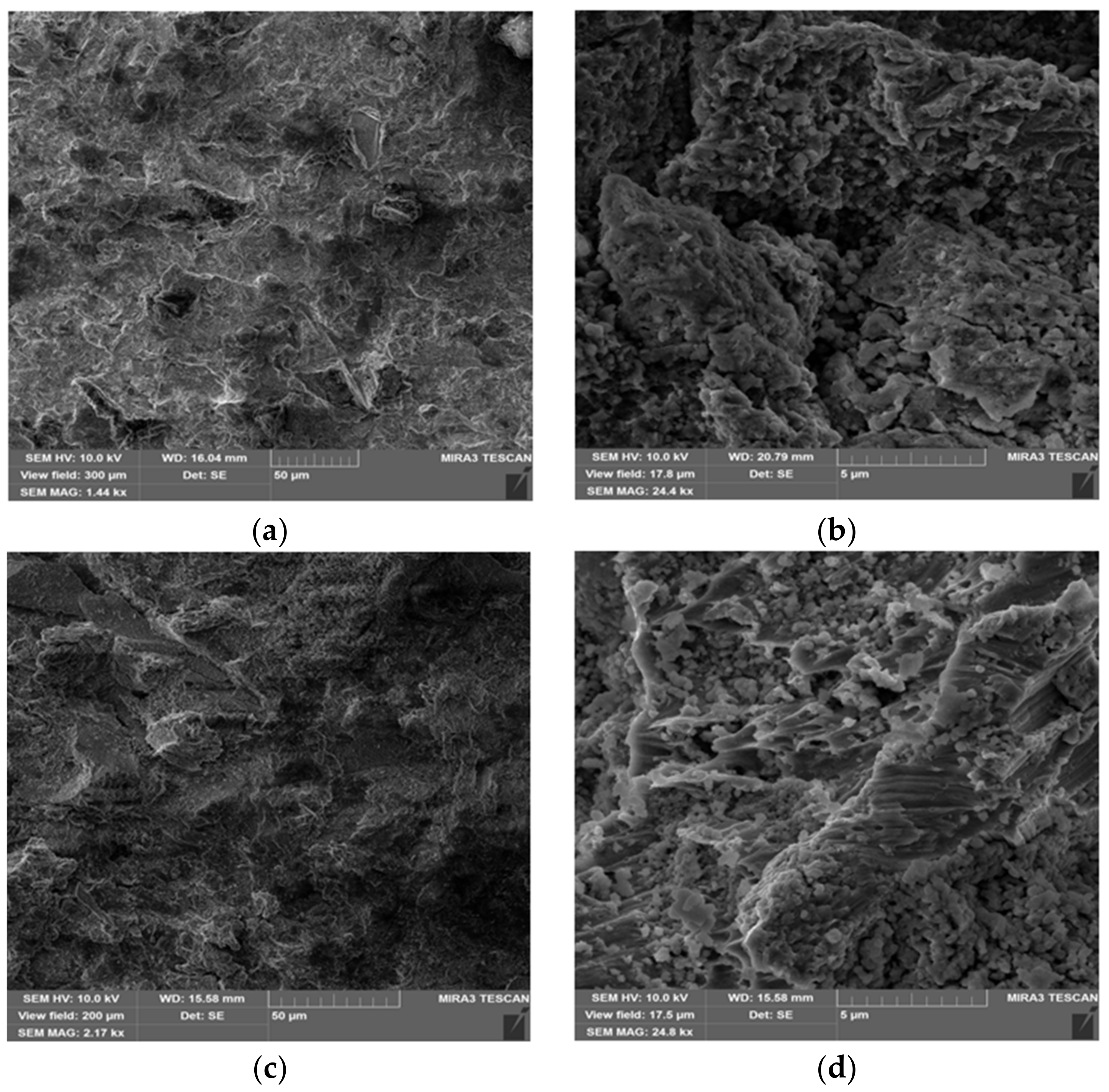 Coatings 09 00223 g004