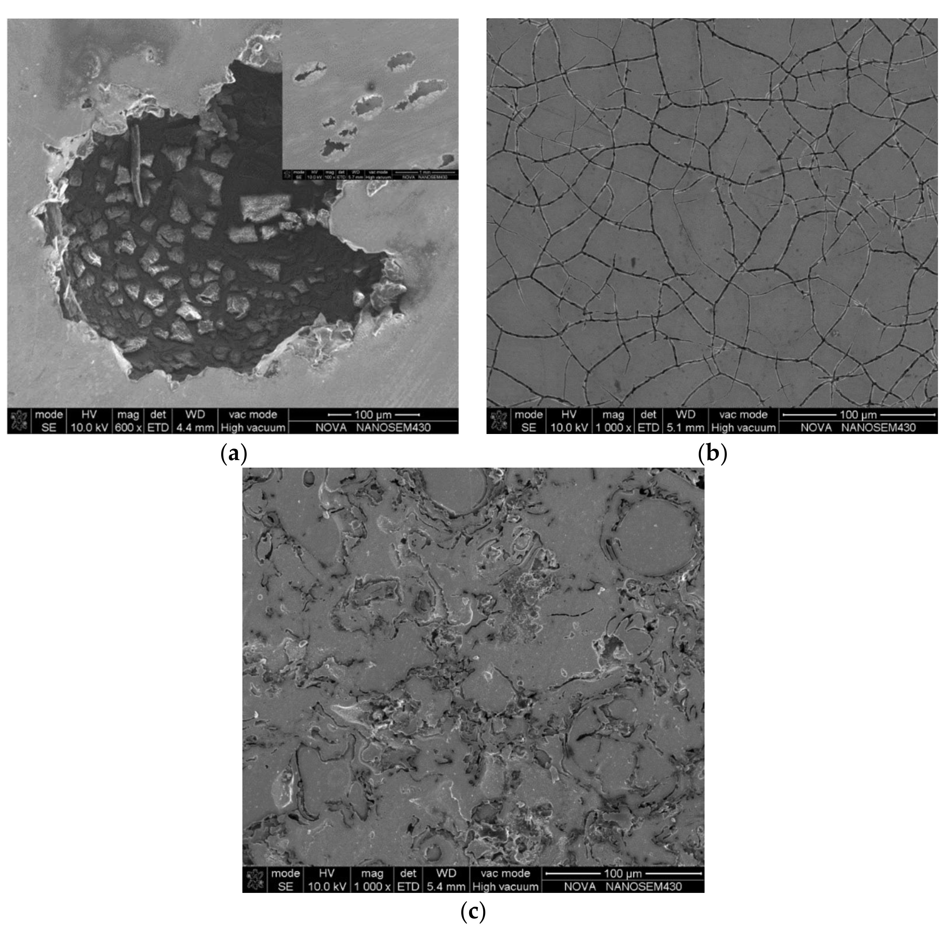 Coatings 09 00226 g003