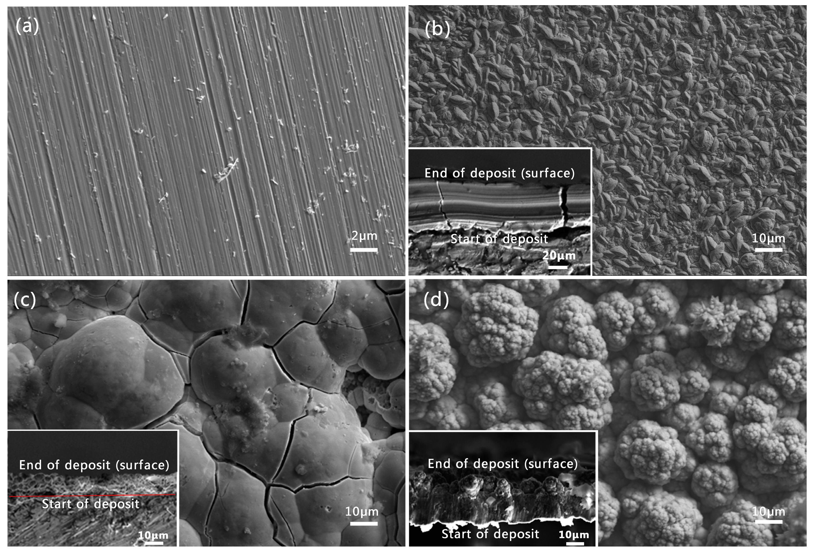 Coatings 09 00232 g001