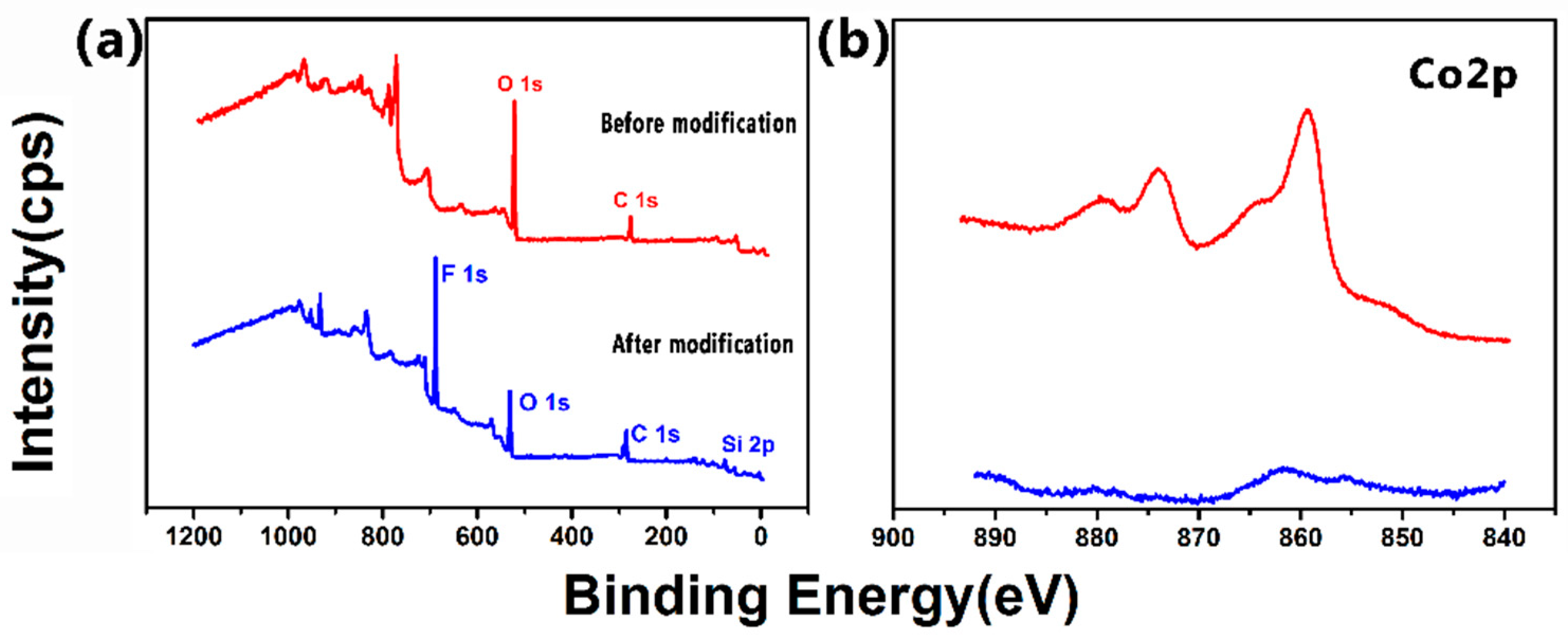 Coatings 09 00232 g004a