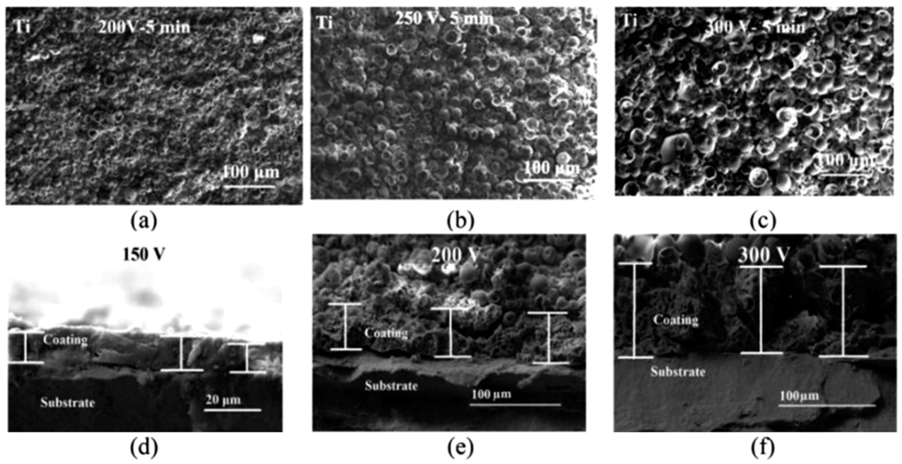 Coatings 09 00249 g002