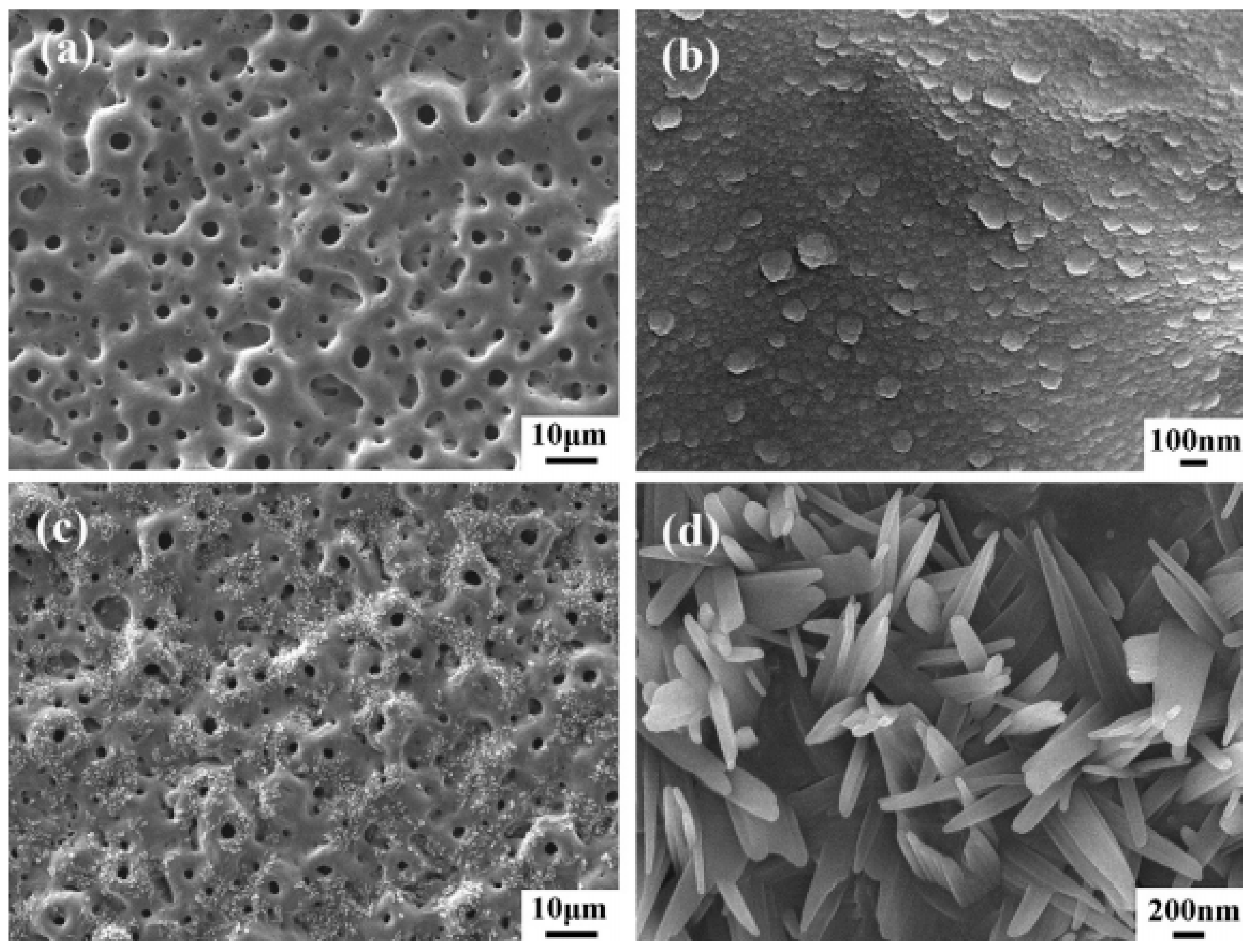 Coatings 09 00249 g004