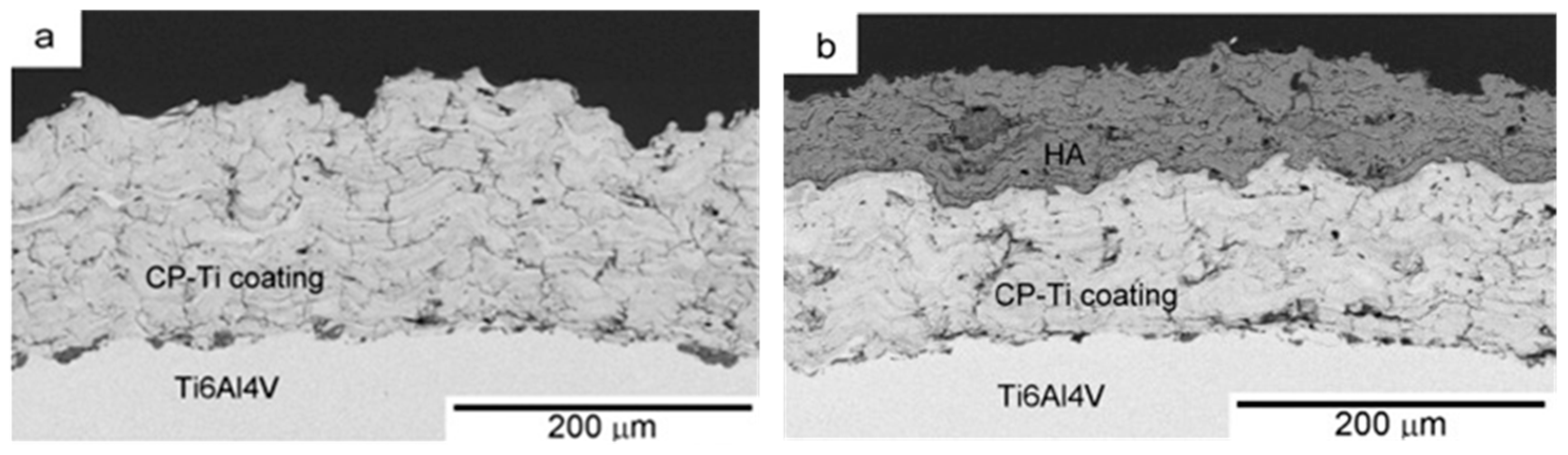 Coatings 09 00249 g006