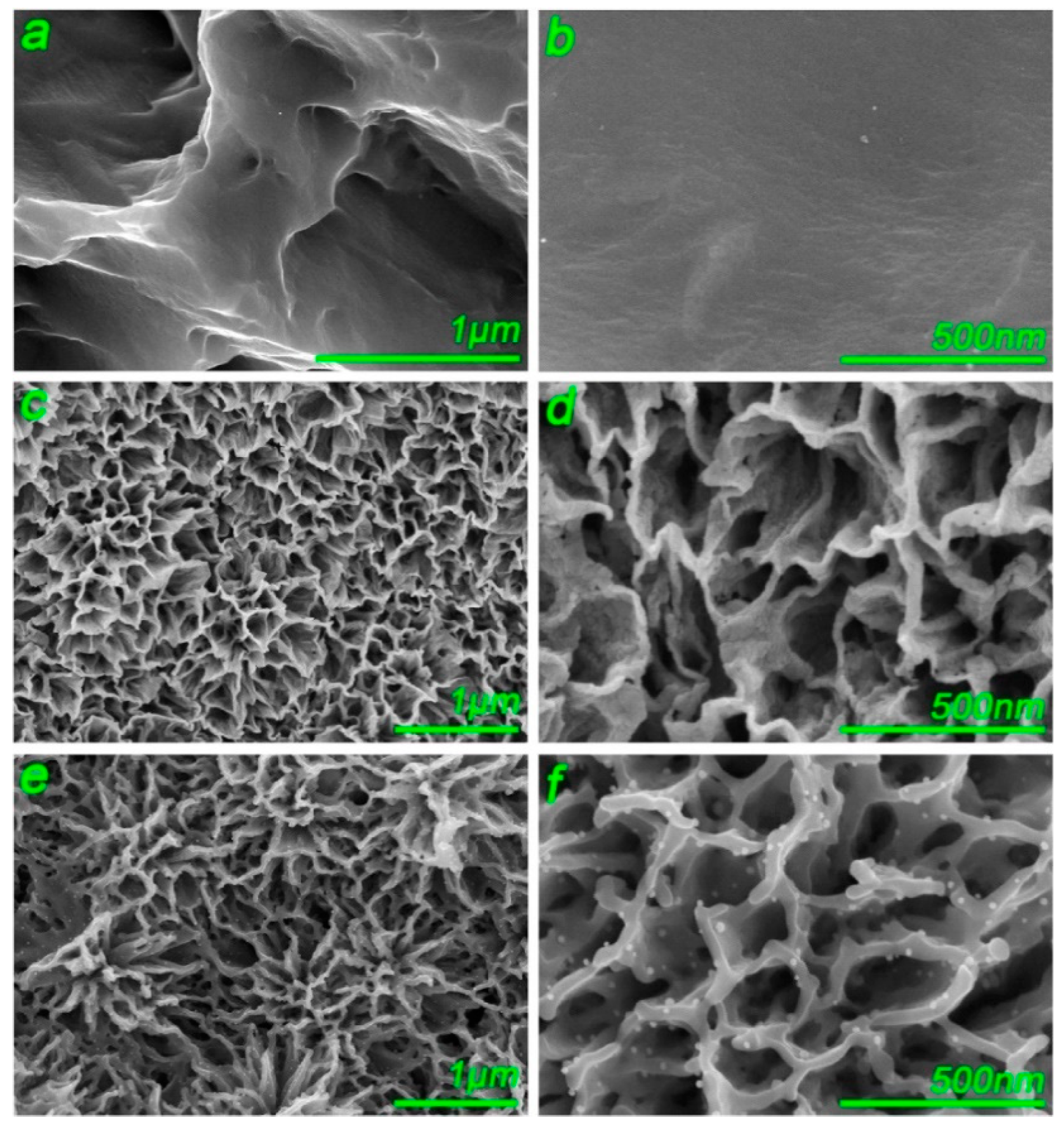 Coatings 09 00249 g008