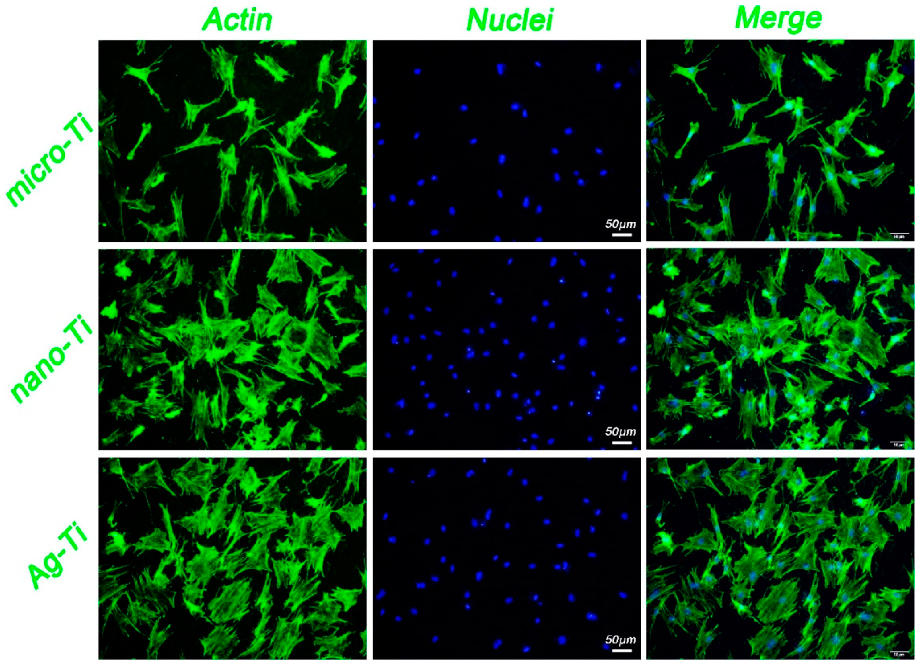 Coatings 09 00249 g009