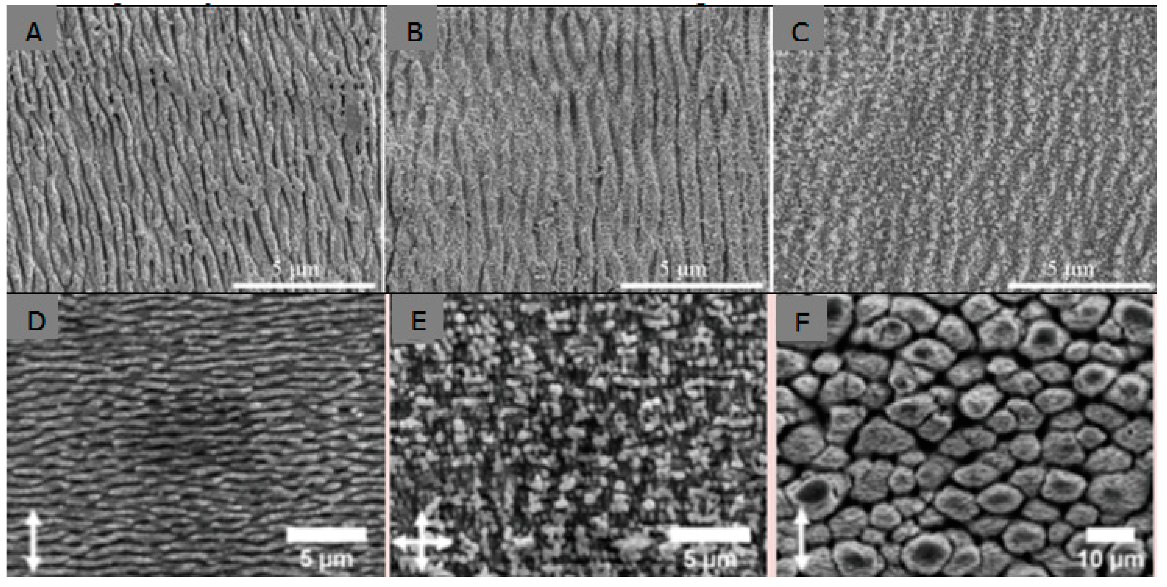 Coatings 09 00249 g010