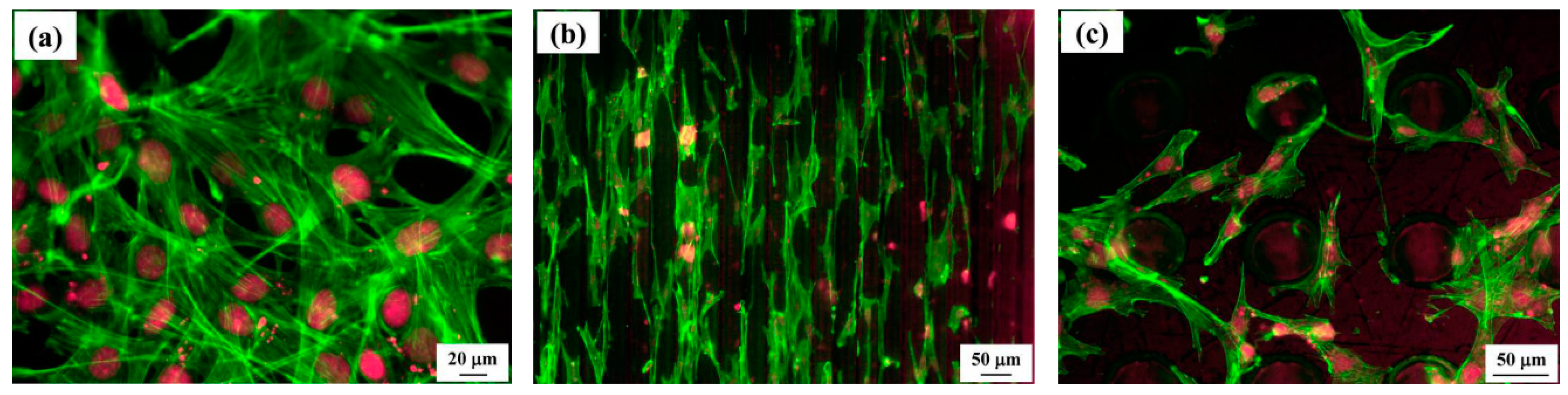 Coatings 09 00249 g011