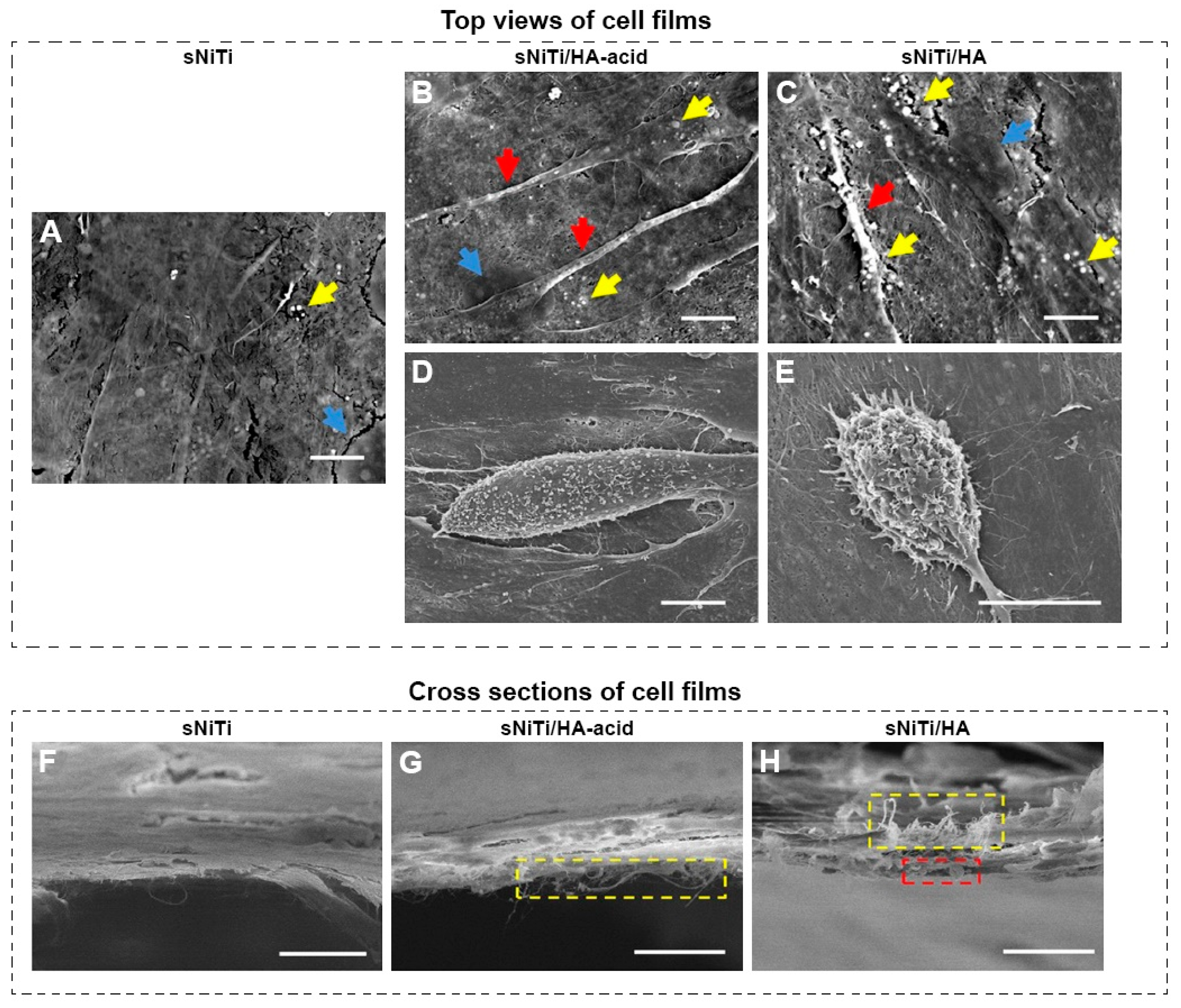 Coatings 09 00249 g014