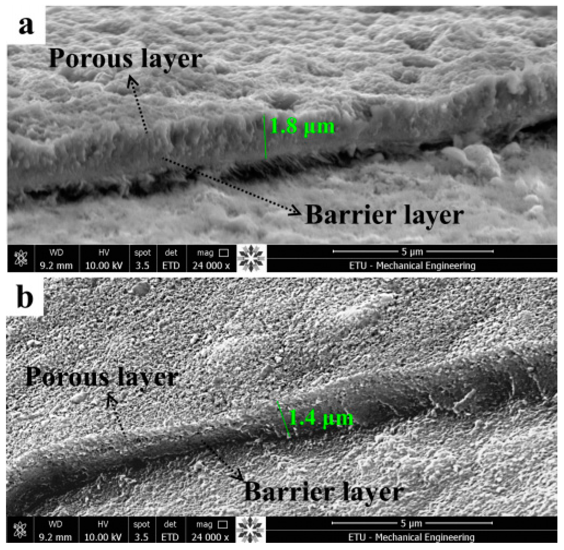 Coatings 09 00249 g017