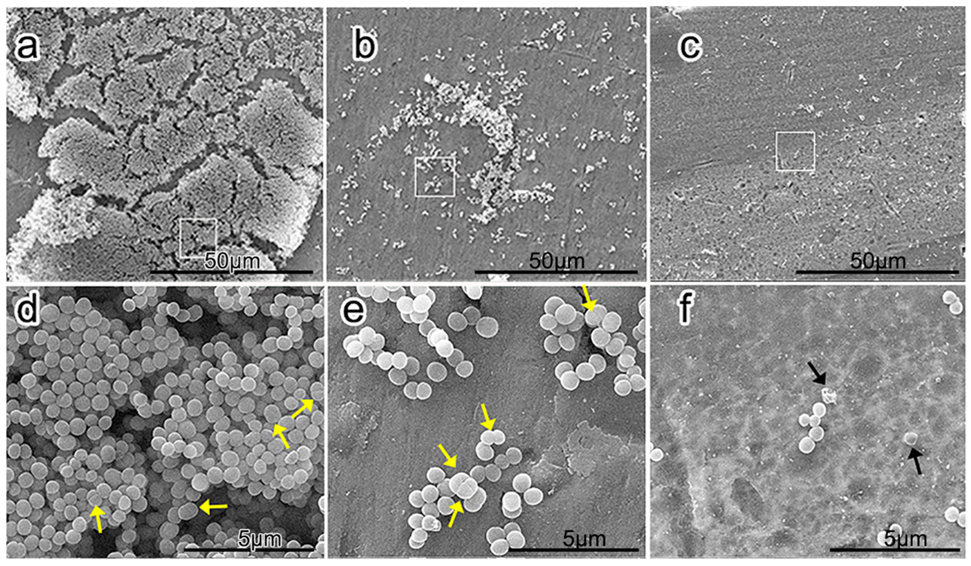 Coatings 09 00249 g020