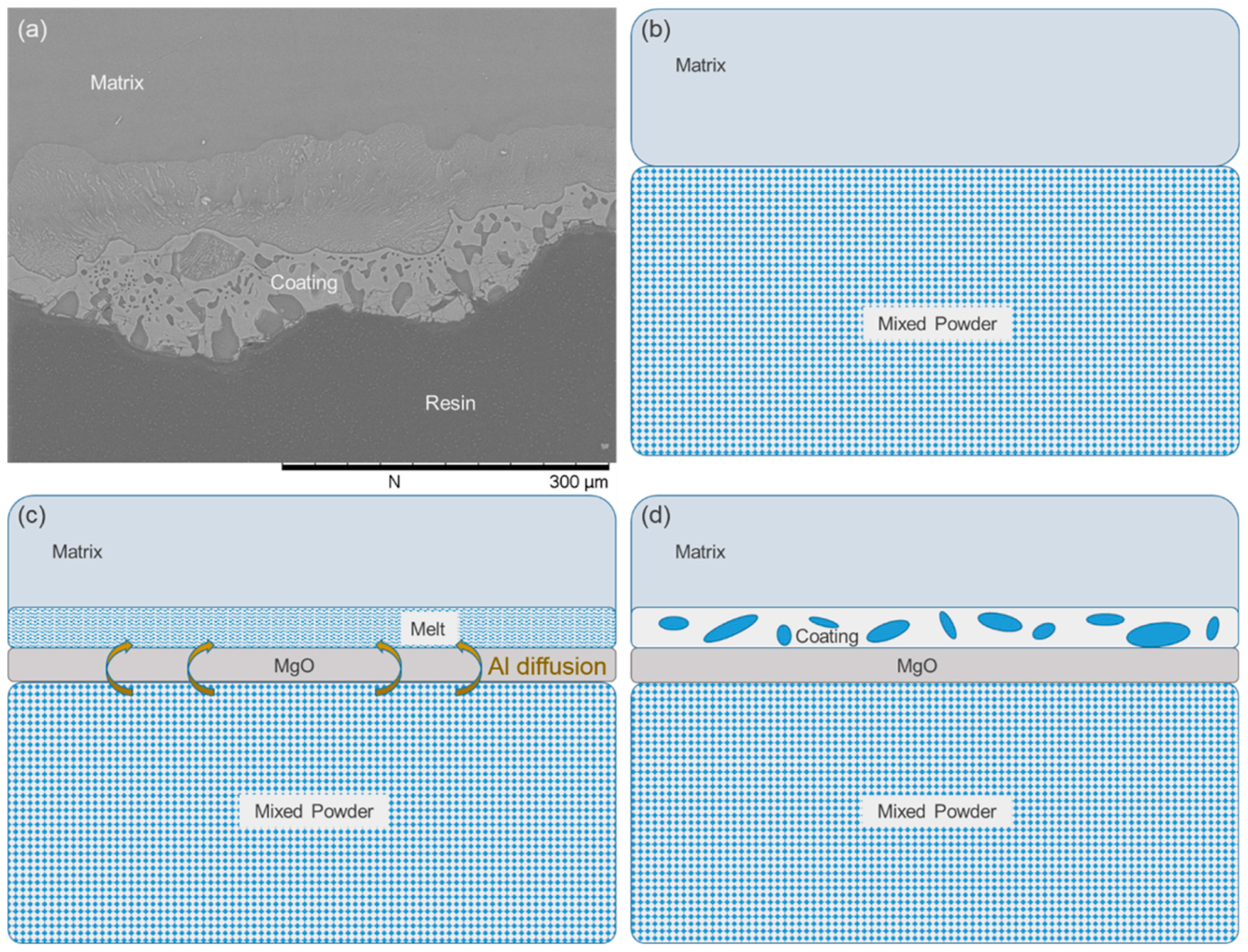 Coatings 09 00252 g002
