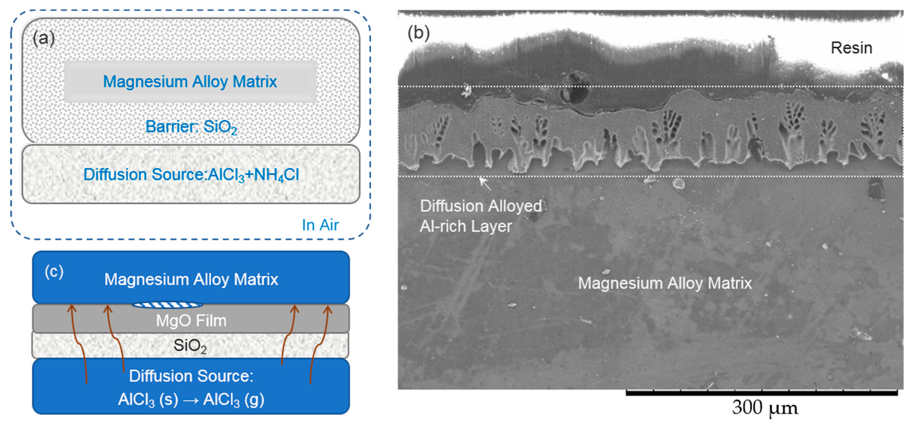 Coatings 09 00252 g006
