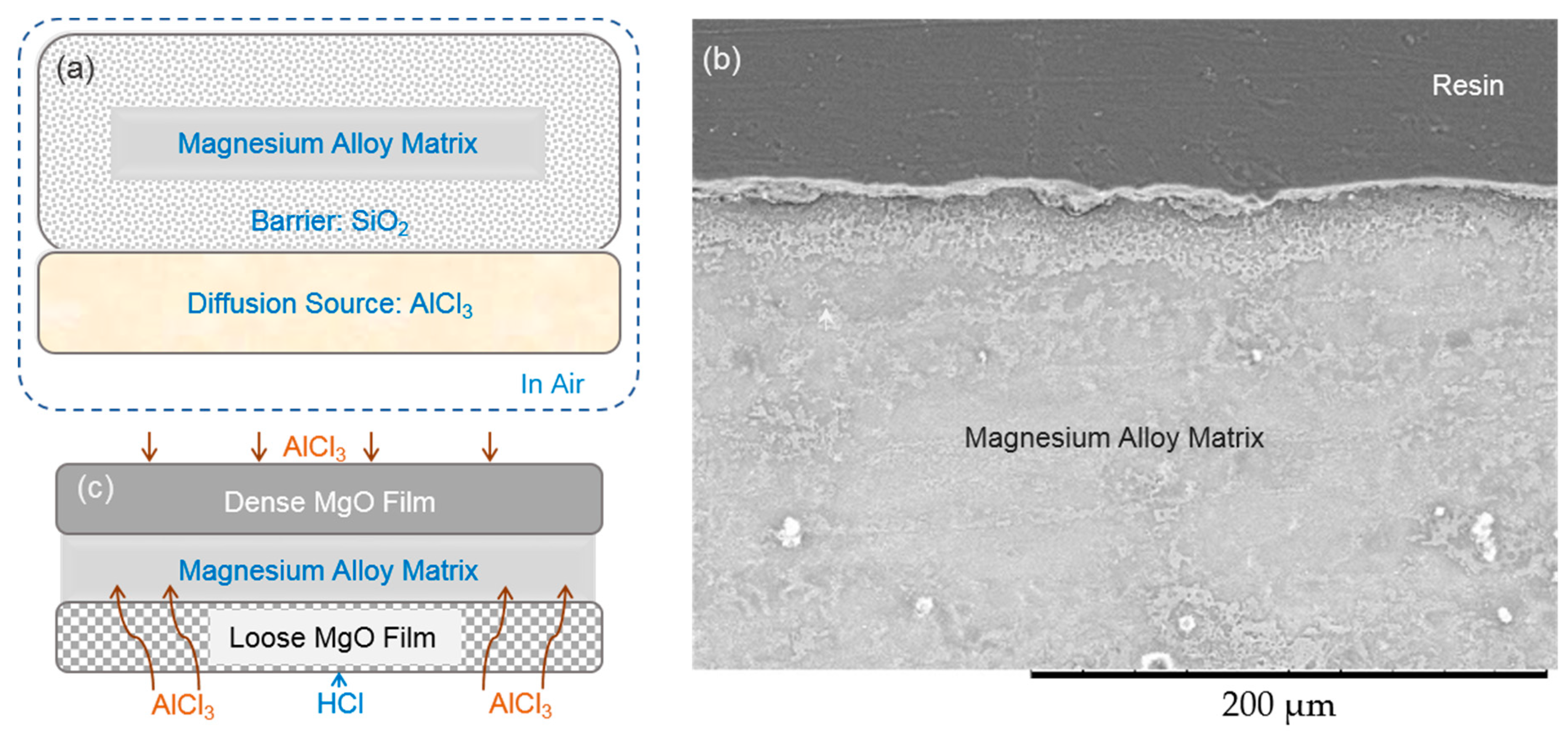 Coatings 09 00252 g007