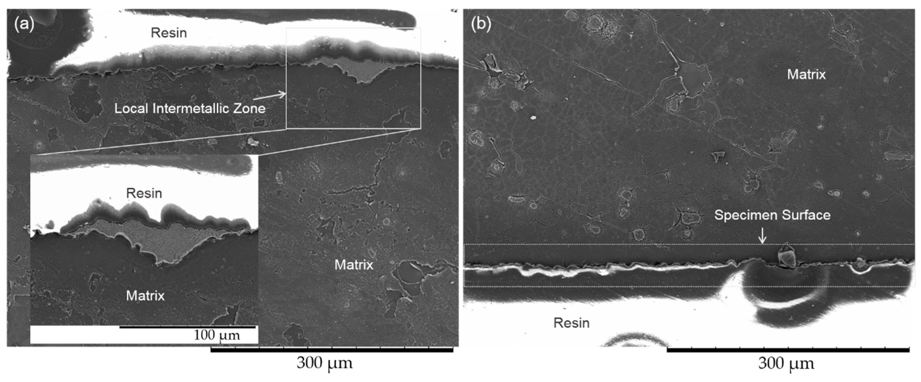 Coatings 09 00252 g009
