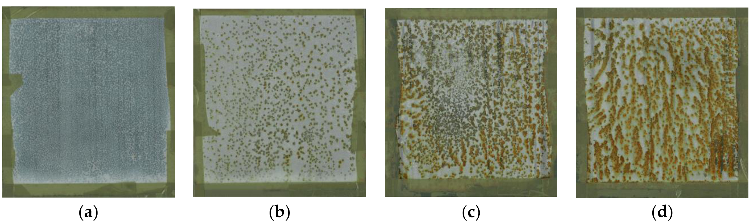 Coatings 09 00254 g004