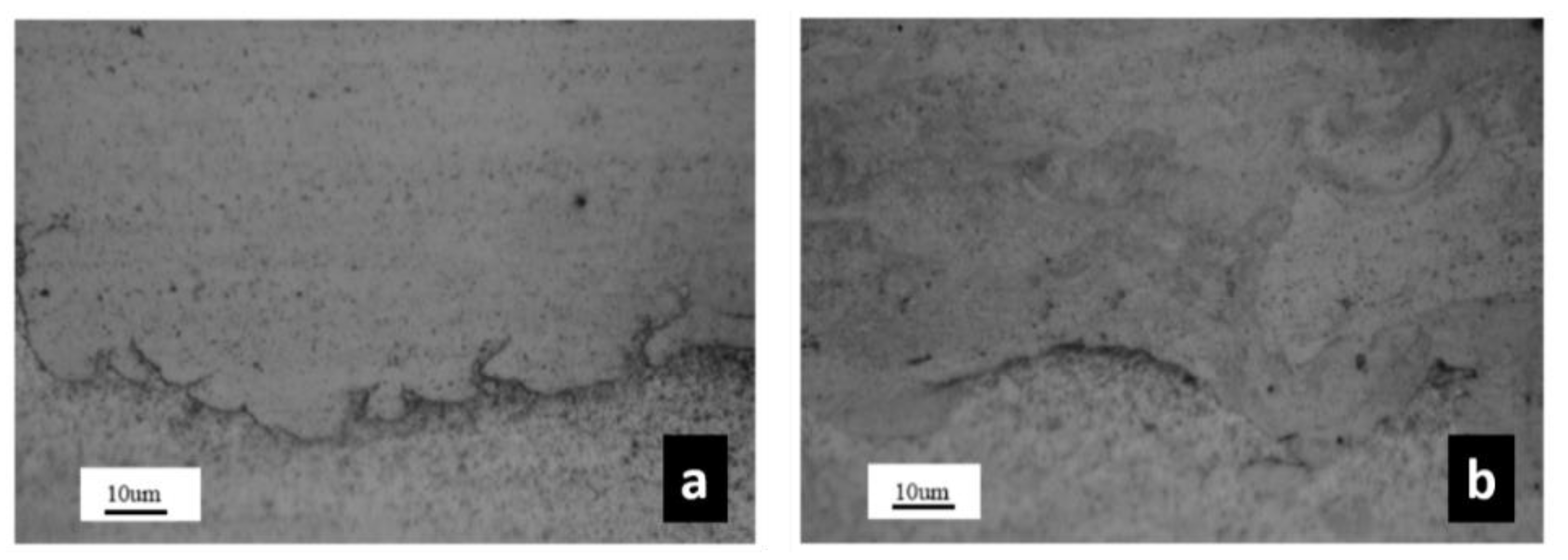 Coatings 09 00257 g003